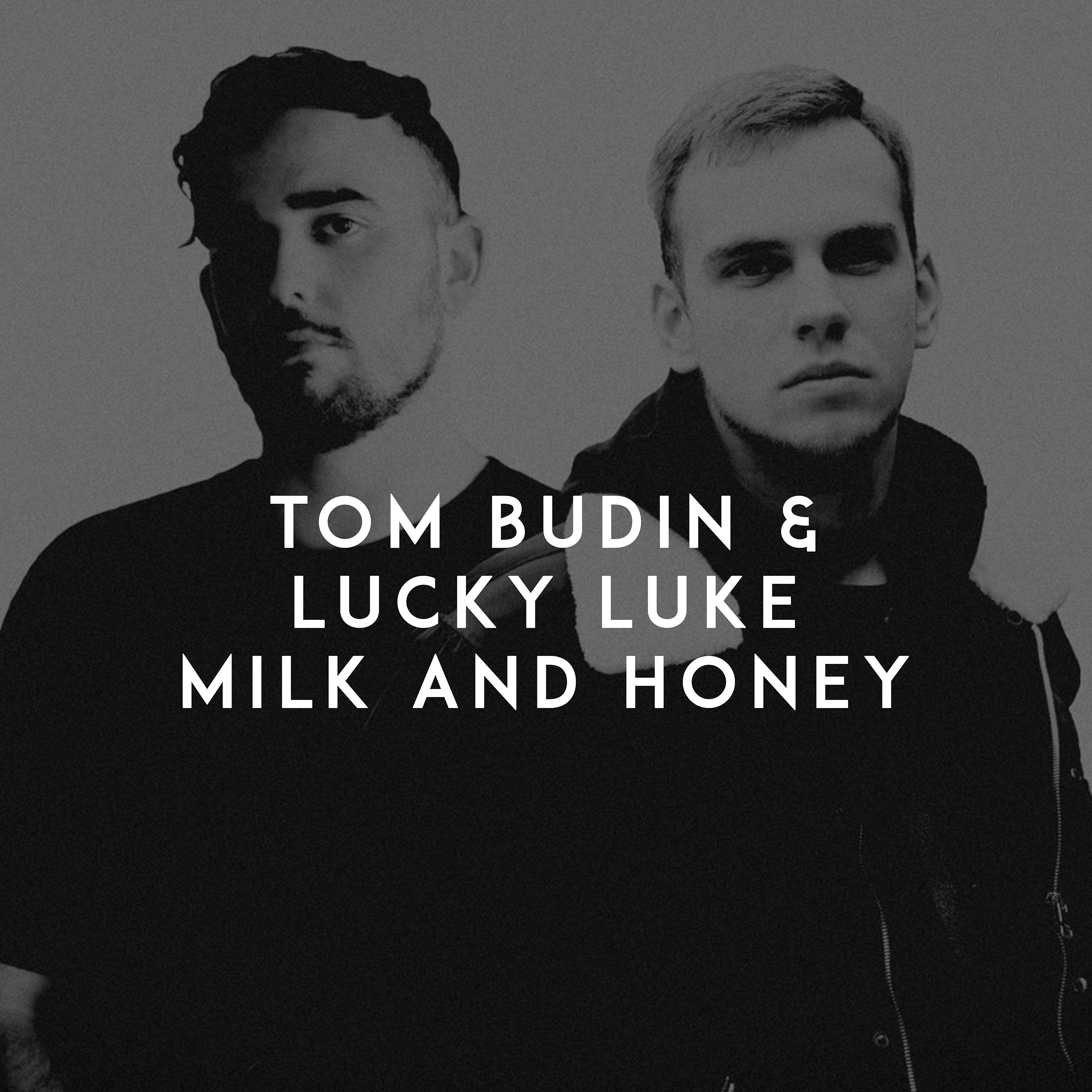 Постер альбома Milk and Honey