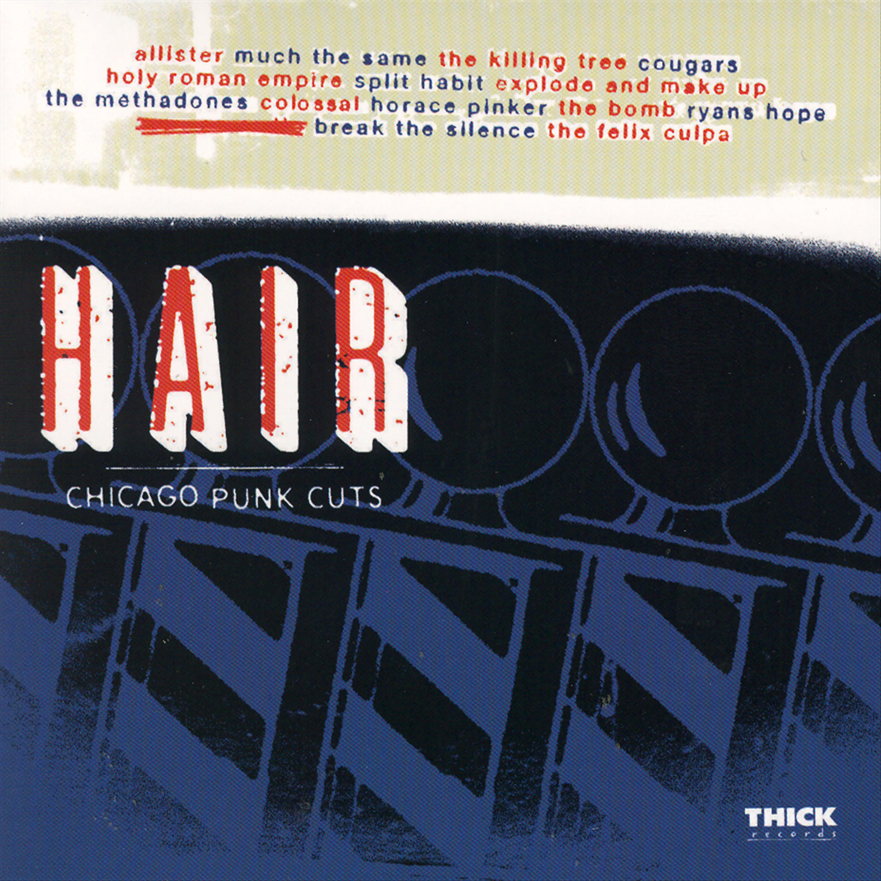 Постер альбома Hair - Chicago Punk Cuts