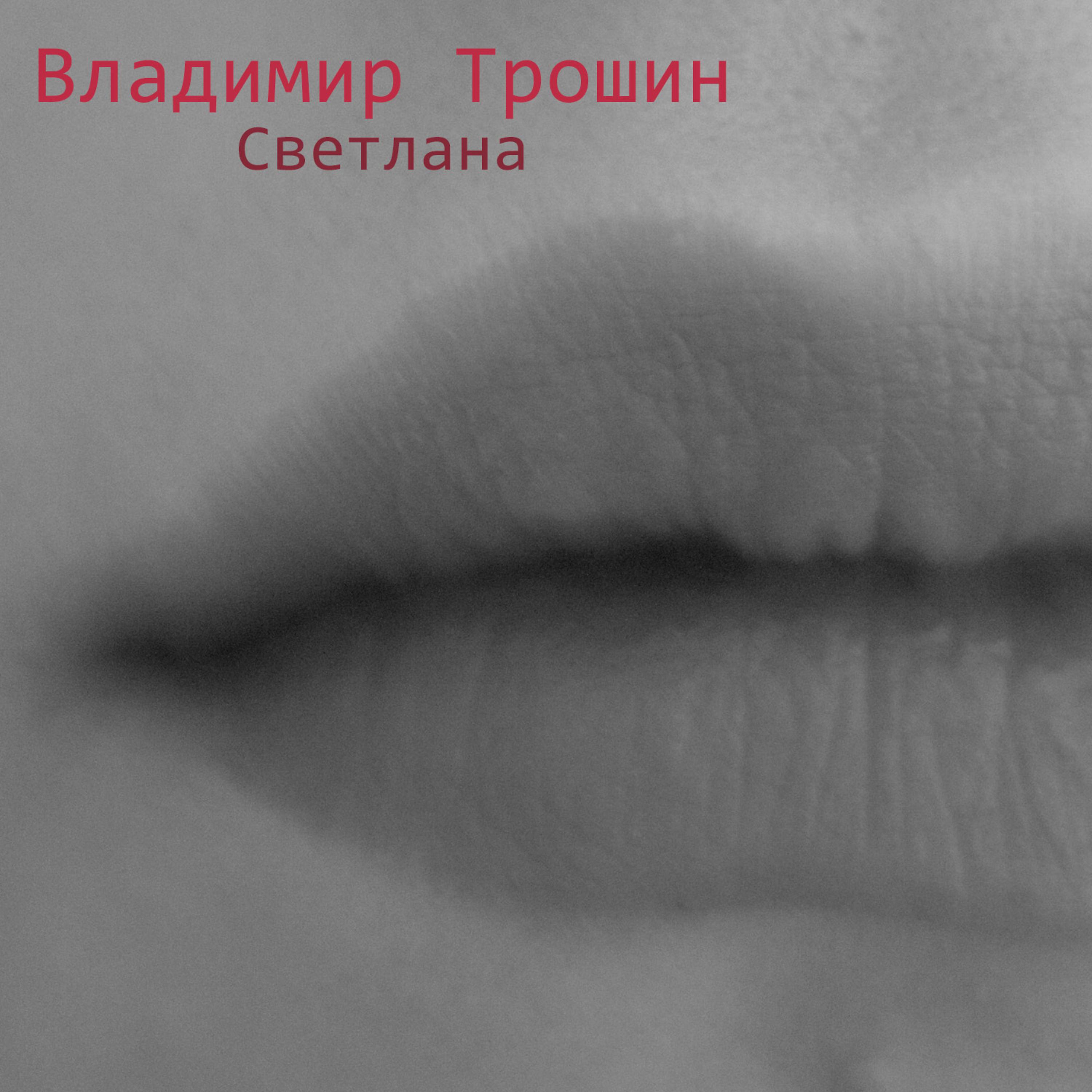 Постер альбома Светлана