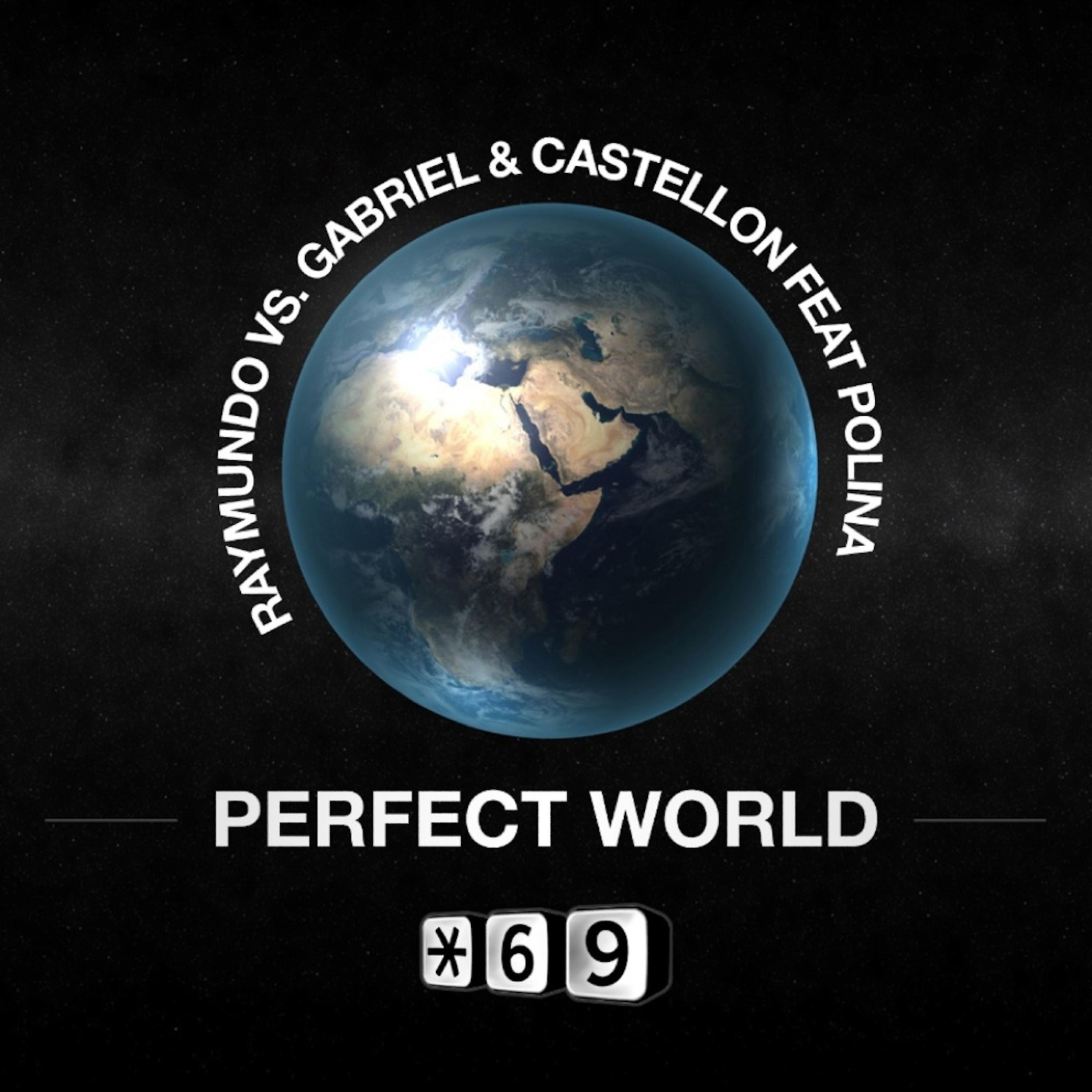 Постер альбома Perfect World (feat. Polina)