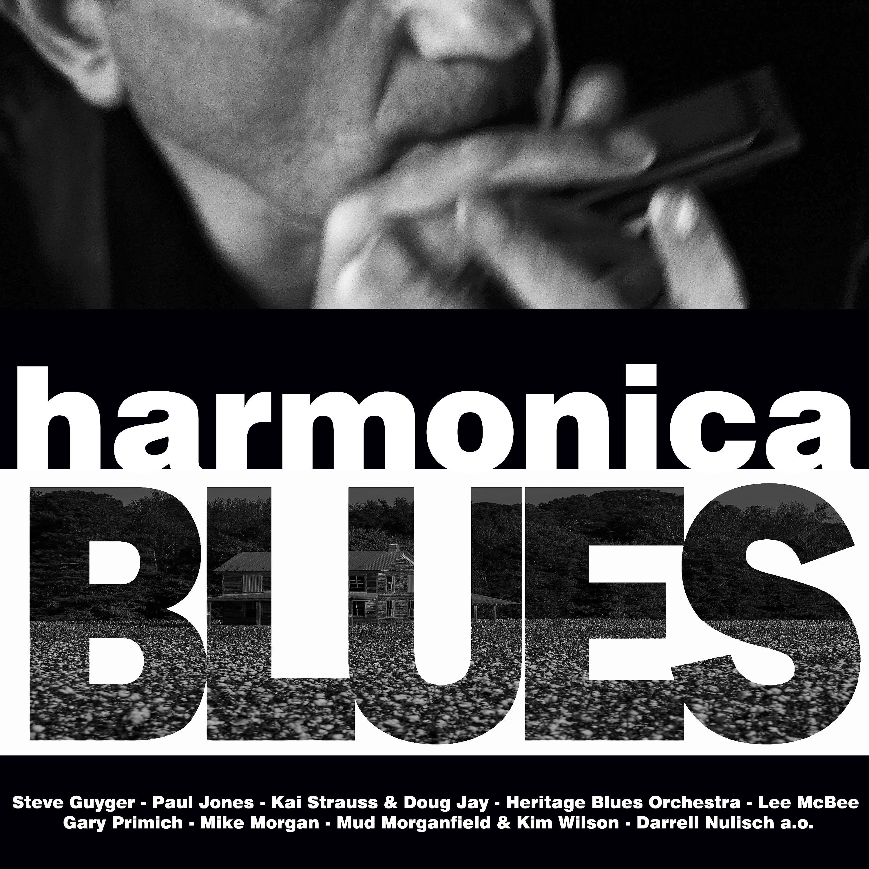Постер альбома Harmonica Blues