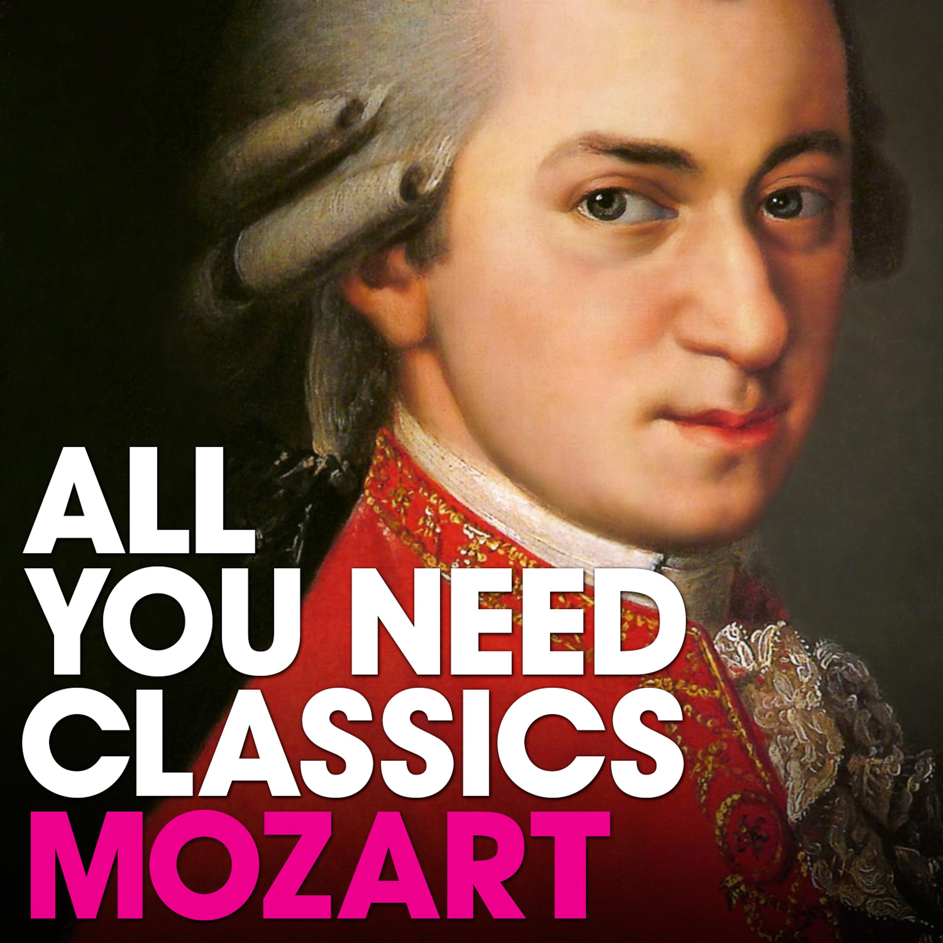 Постер альбома All You Need Classics: Mozart