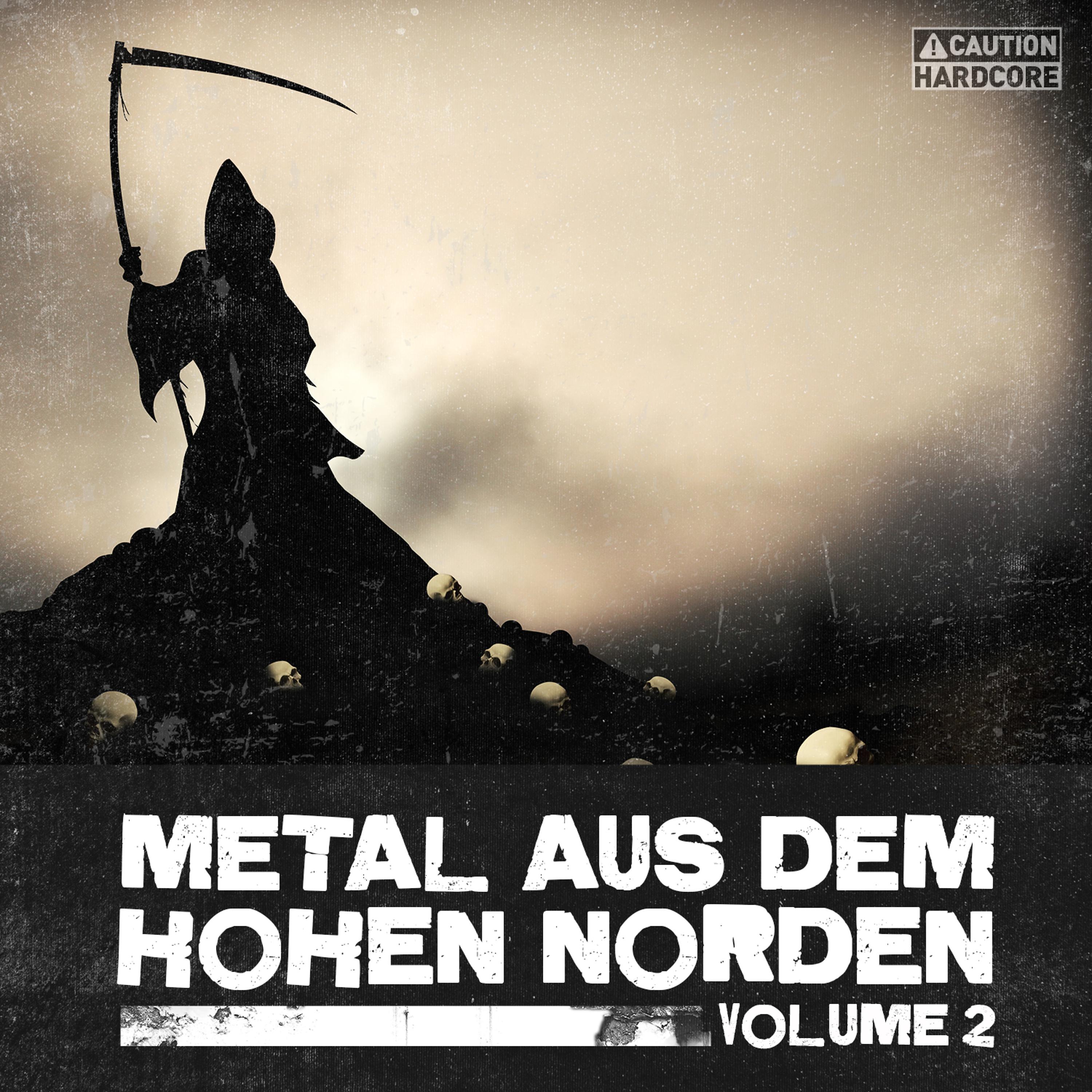 Постер альбома Metal Aus Dem Hohen Norden, Vol. 2