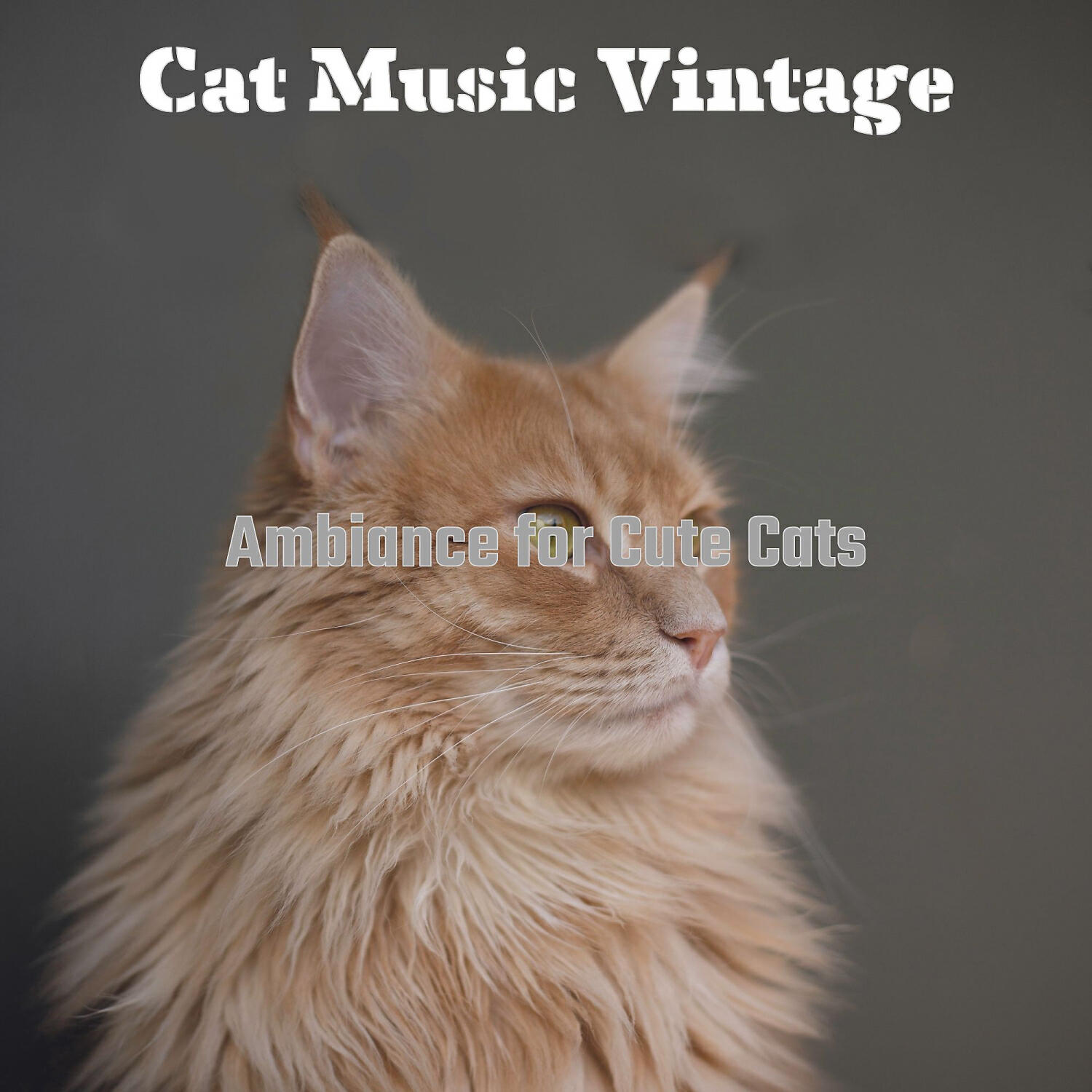 Cat Music Vintage - Carefree Ambience for Cute Cats