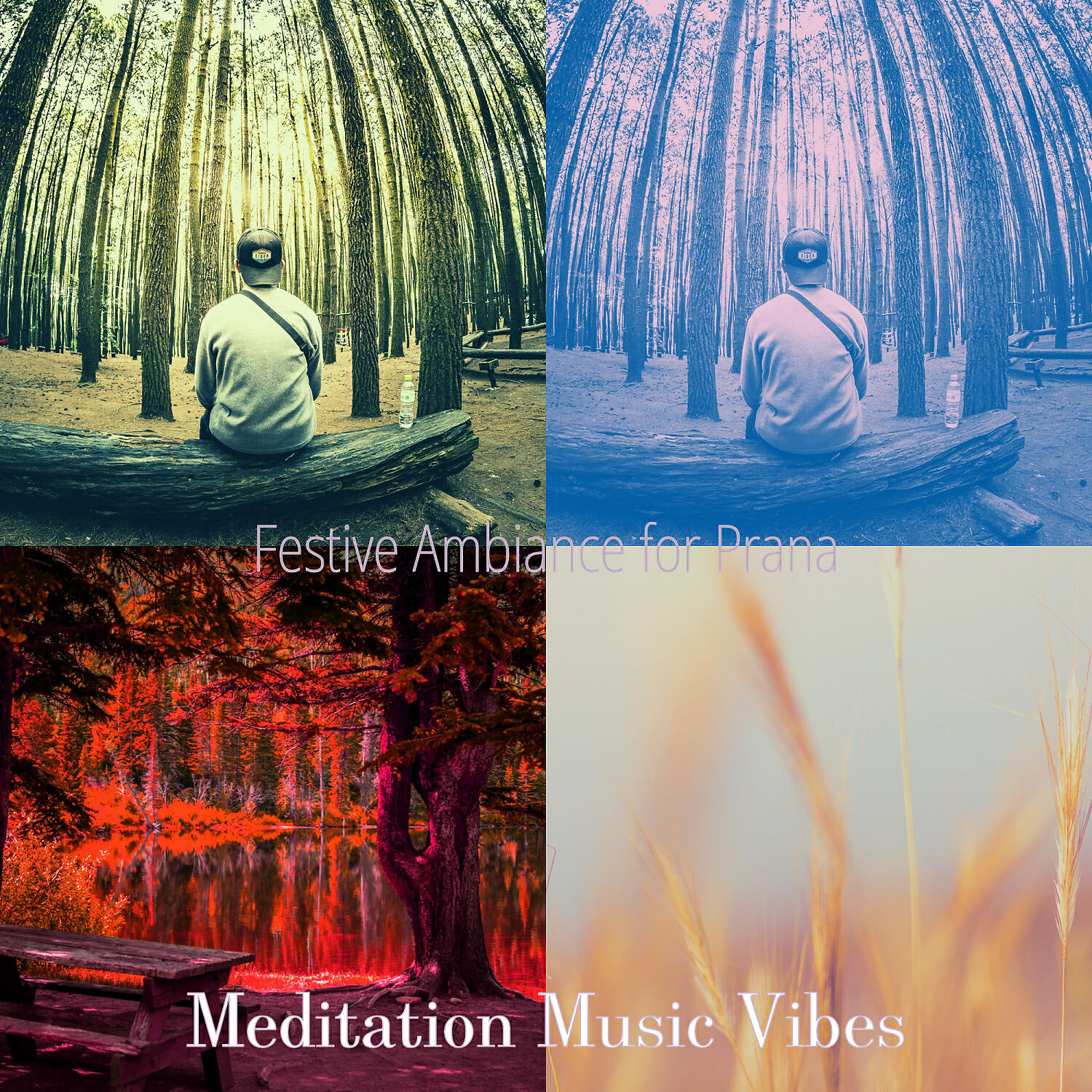 Meditation Music Vibes - Swanky Shakuhachi and Harps - Vibe for Yoga Nidra