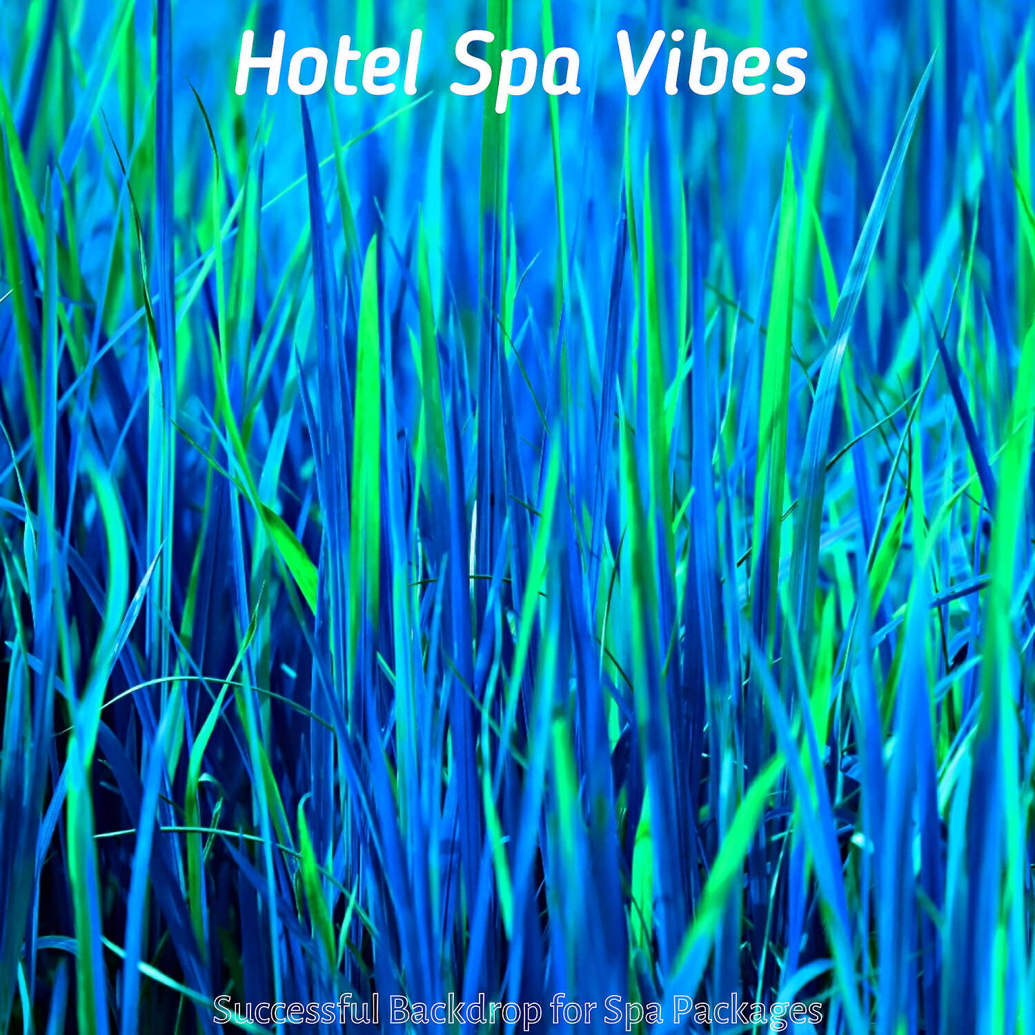 Hotel Spa Vibes - Vivacious Shakuhachi and Harps - Vibe for Hotel Spas