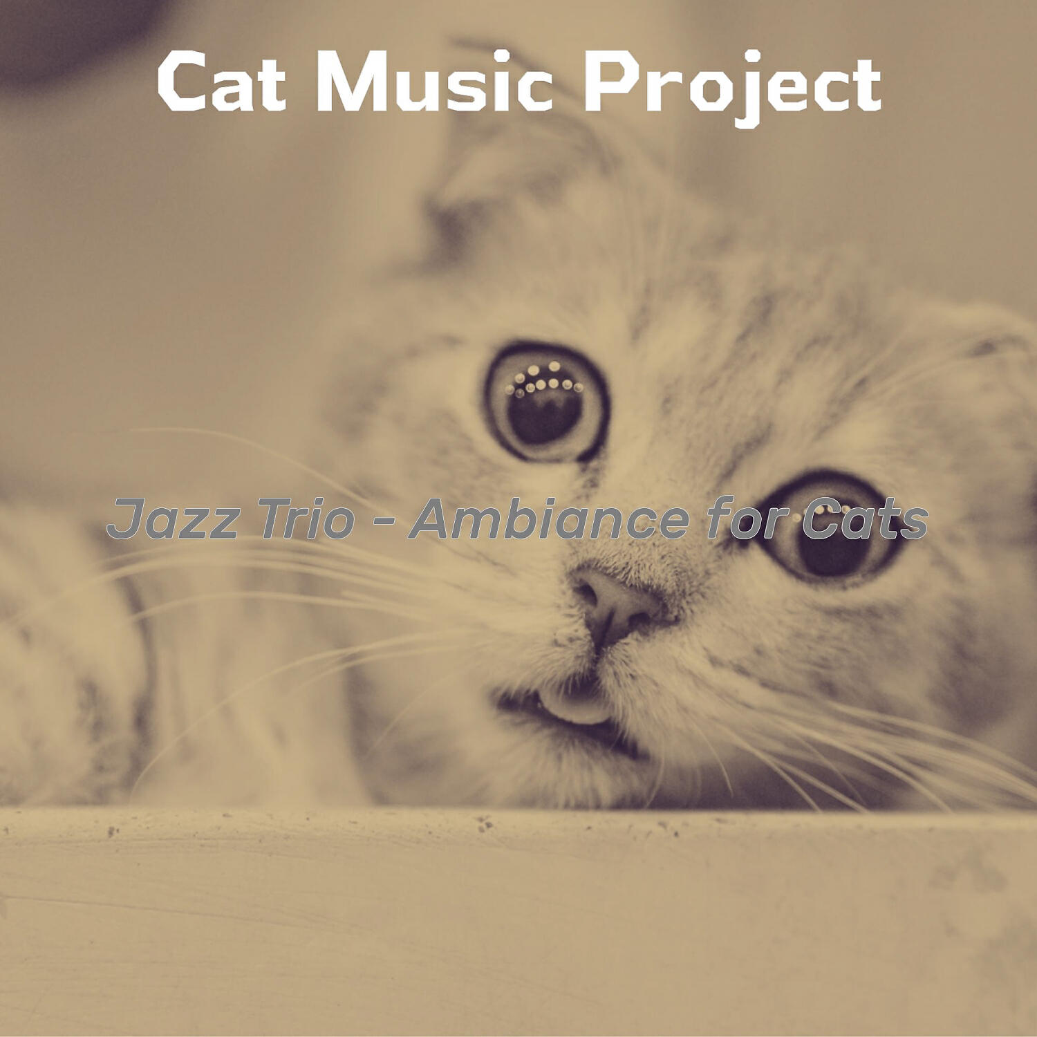 Cat Music Project - Glorious Moods for Kittens