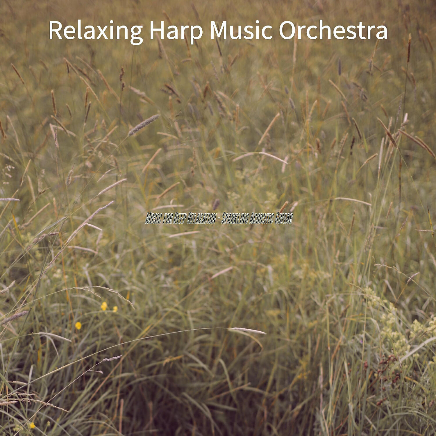 Relaxing Harp Music Orchestra - Grand Ambience for 1 Hour Spa