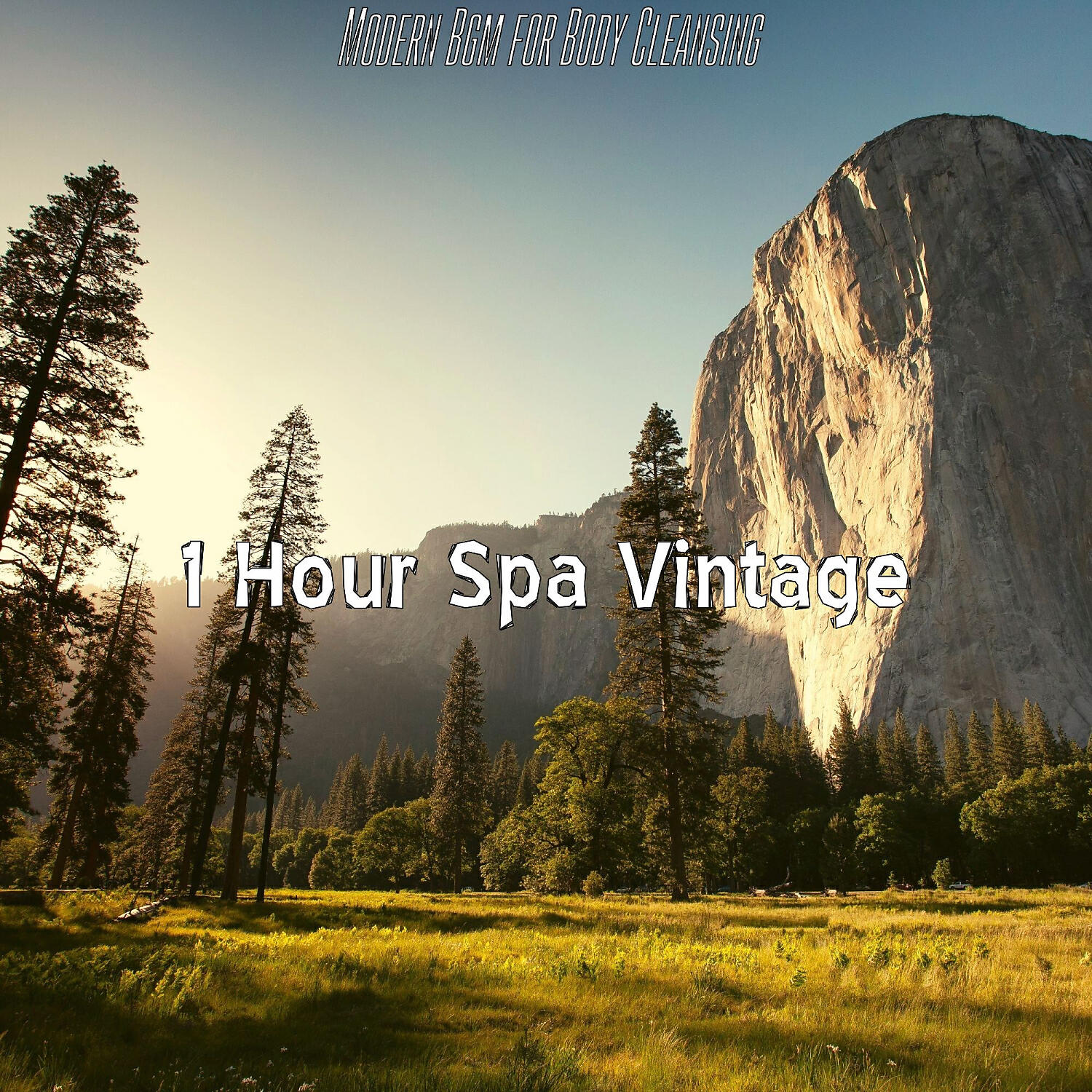 1 Hour Spa Vintage - Thrilling Music for Soul Remedies