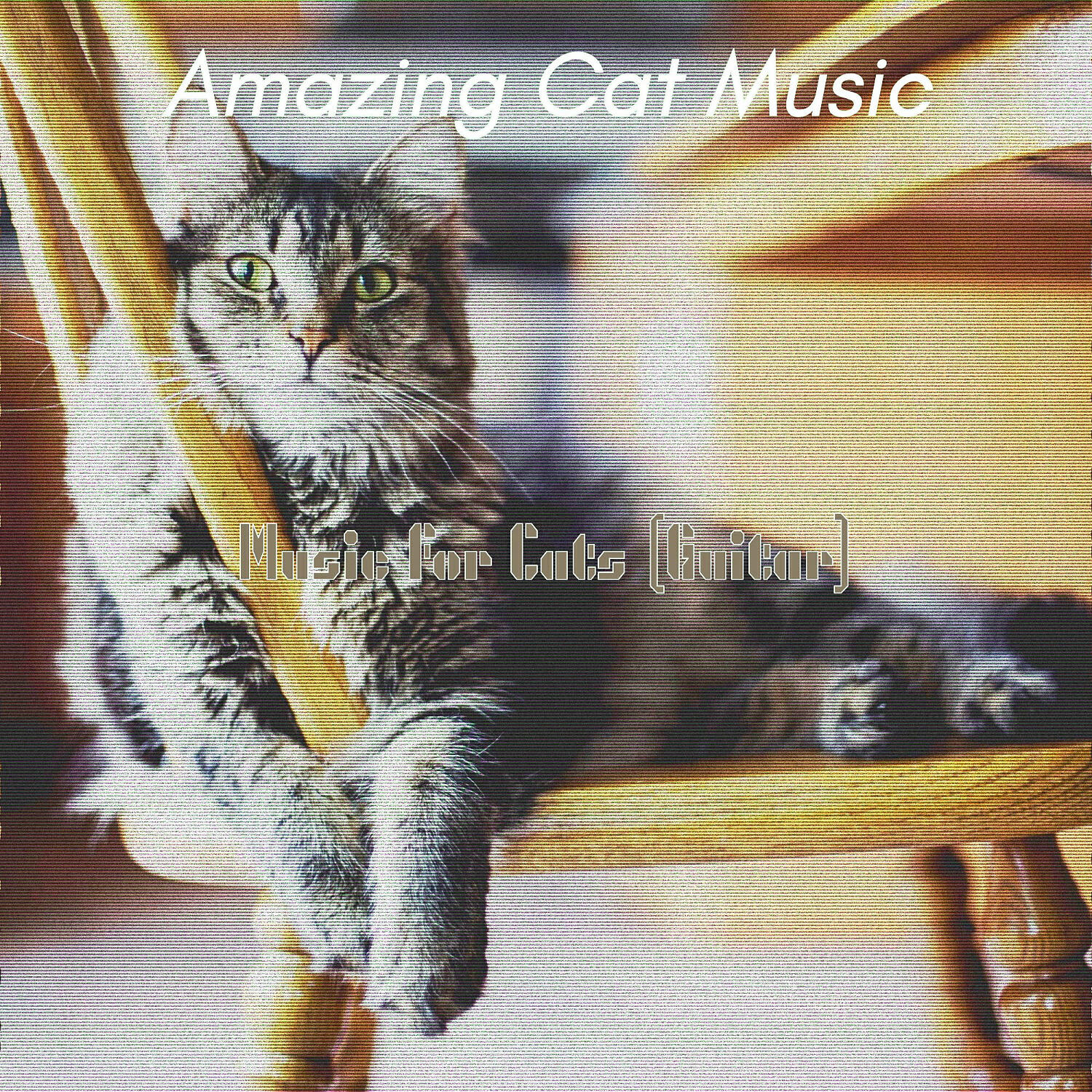Amazing Cat Music - Modern Backdrops for Cute Cats
