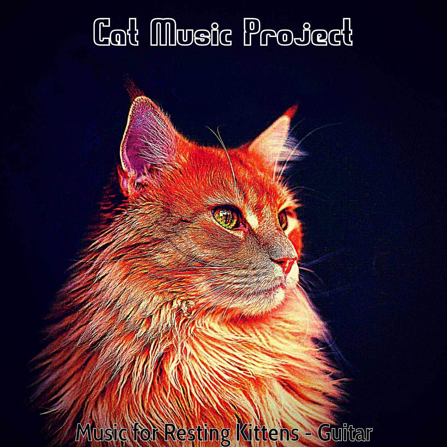 Cat Music Project - Dashing Ambiance for Training Your Cat