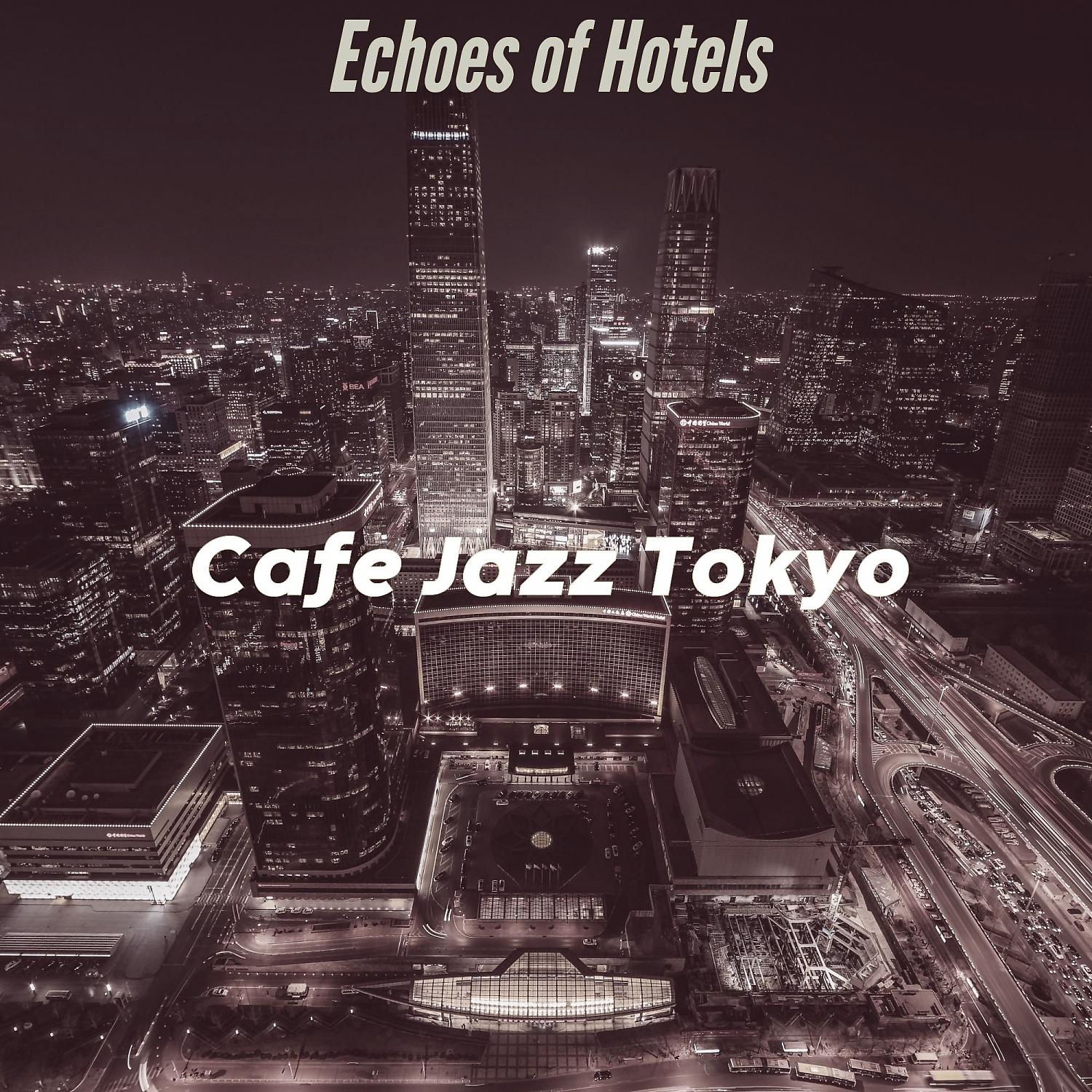 Постер альбома Echoes of Hotels