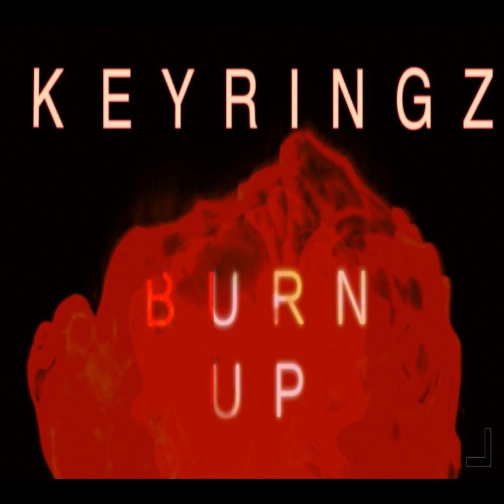 Постер альбома Burn Up