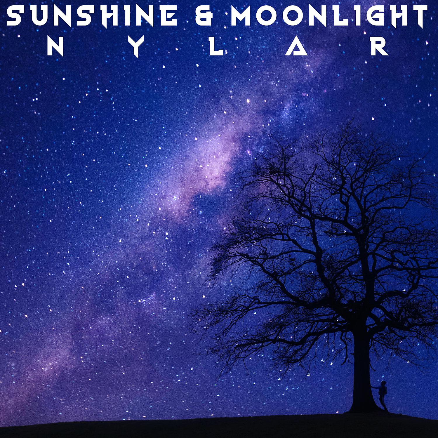 Постер альбома Sunshine & Moonlight