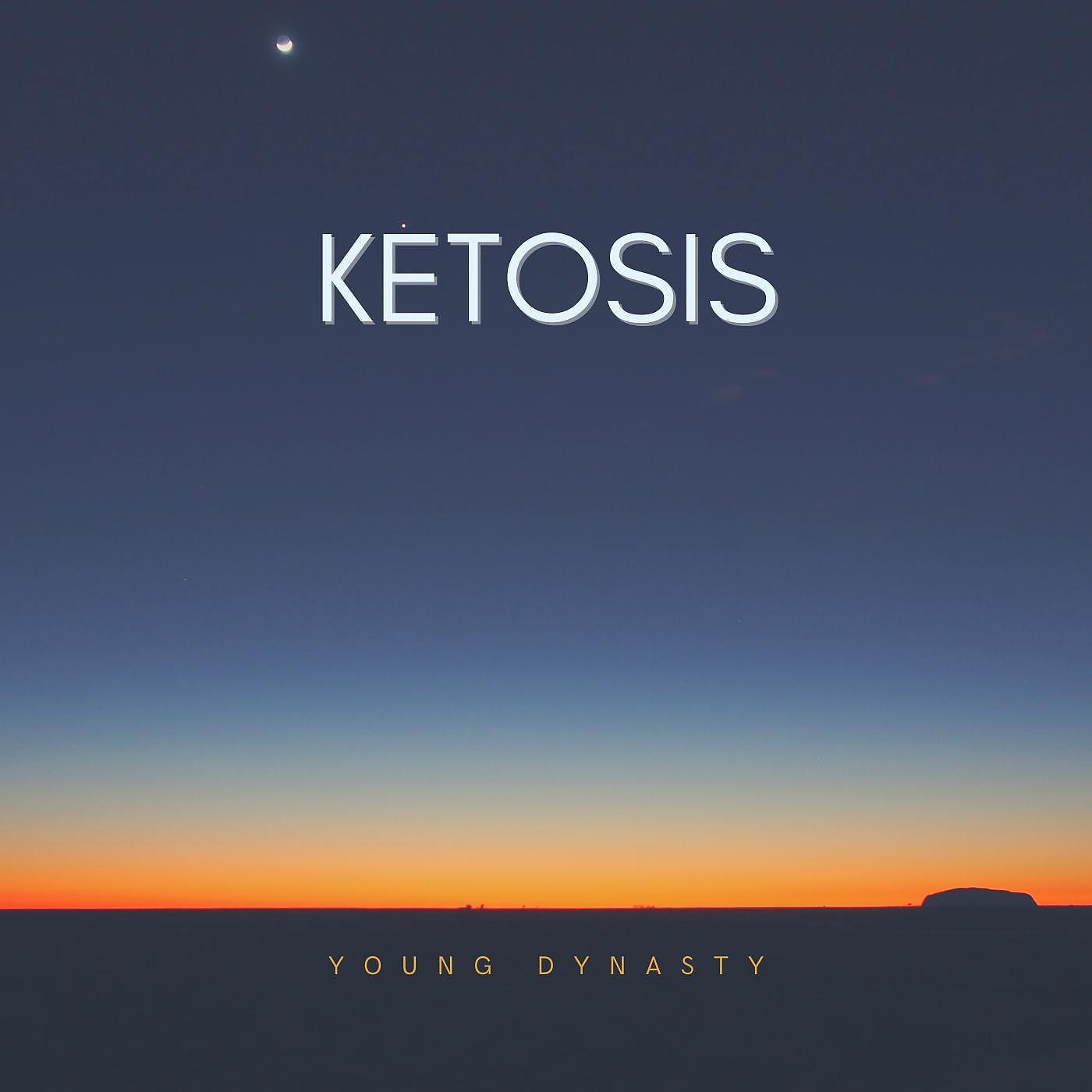 Постер альбома Ketosis
