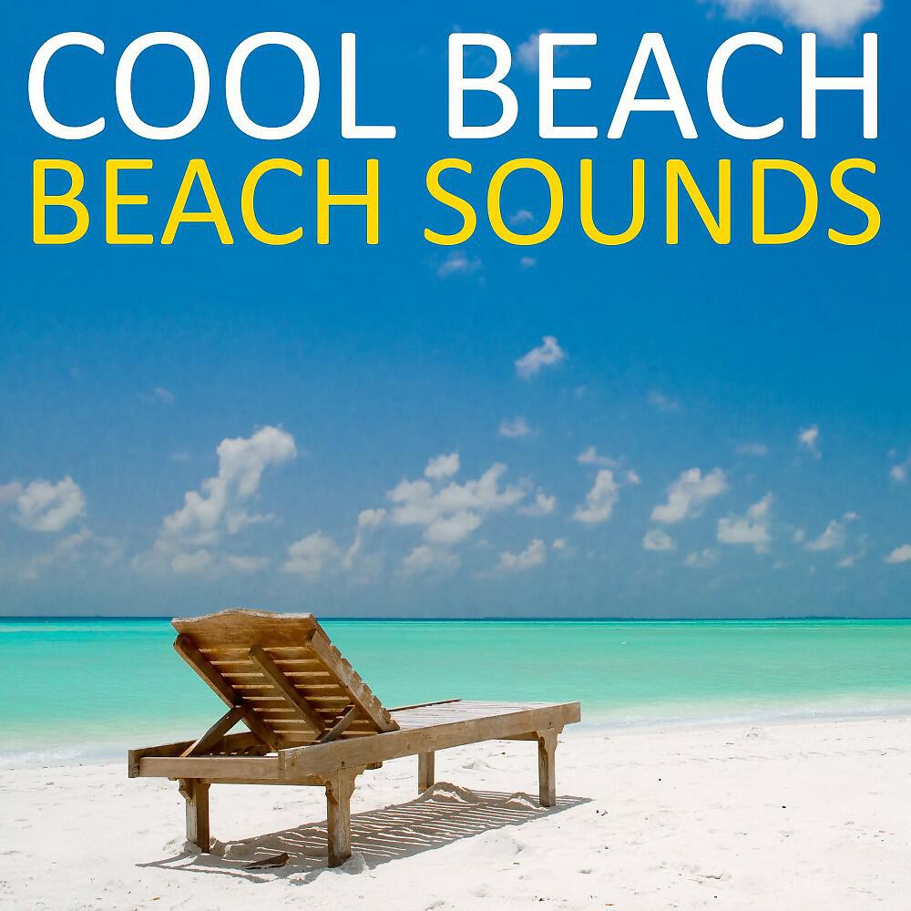 Cool Beach - Sexy Night