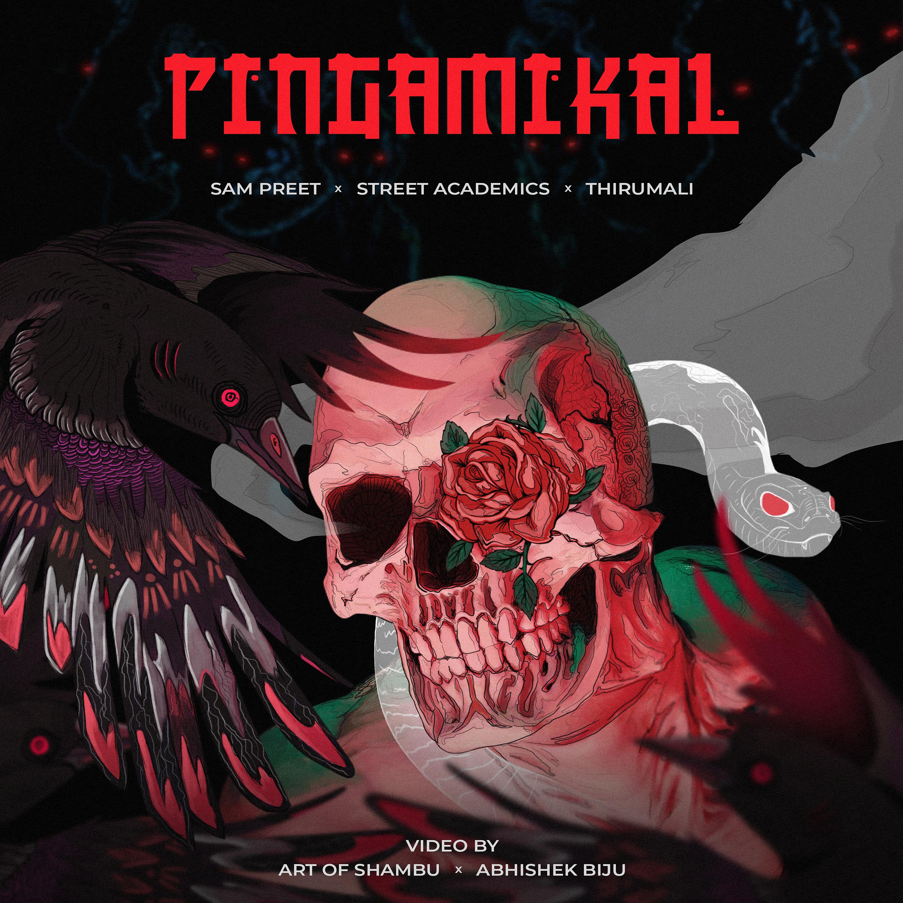 Постер альбома Pingamikal
