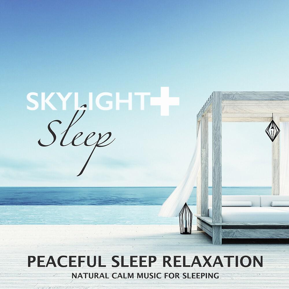Skylight Sleep - Sleeping Elixir