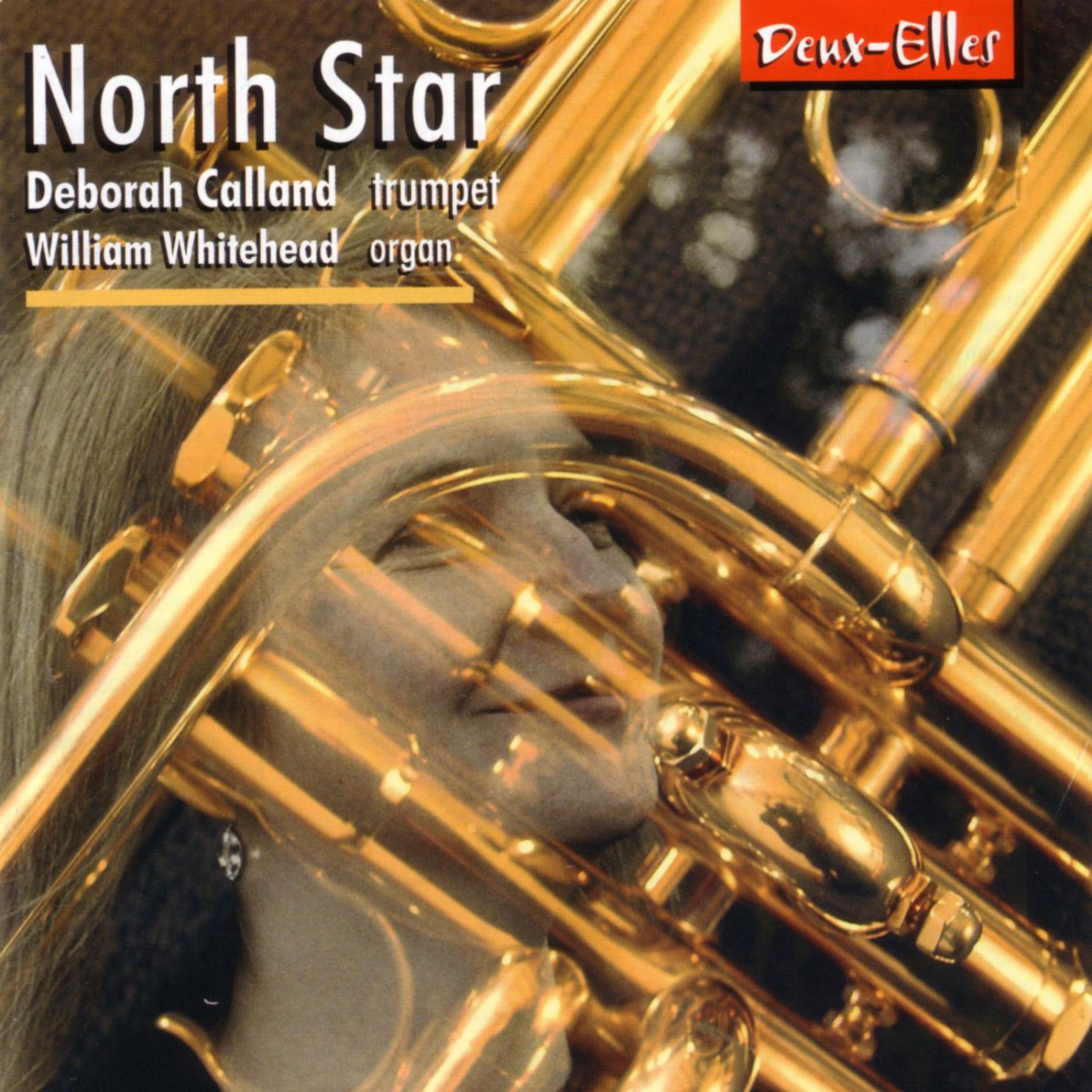 Постер альбома North Star