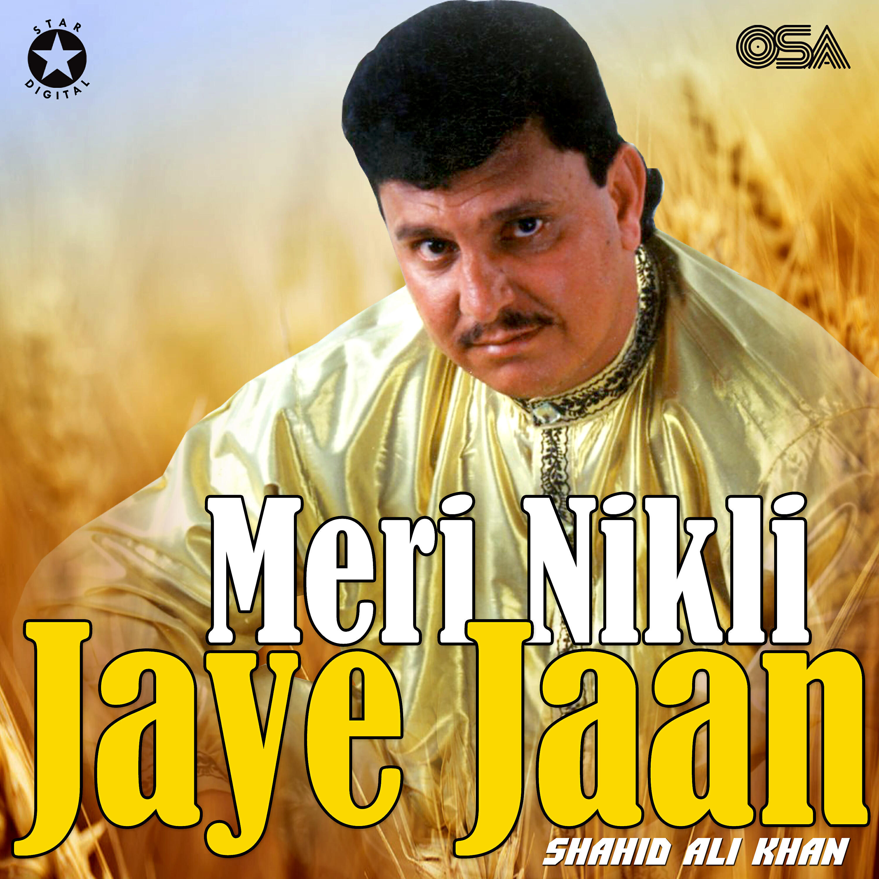 Shahid Ali Khan - Daag e Gham Dil Se