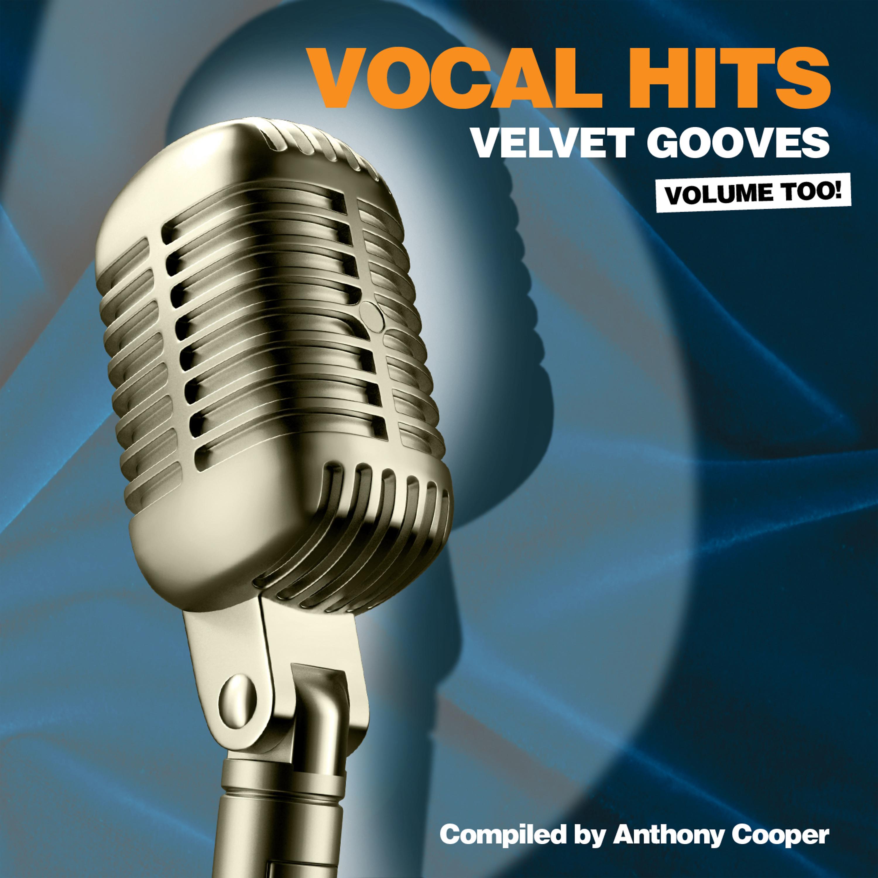 Постер альбома Vocal Hits Velvet Grooves Volume Too!