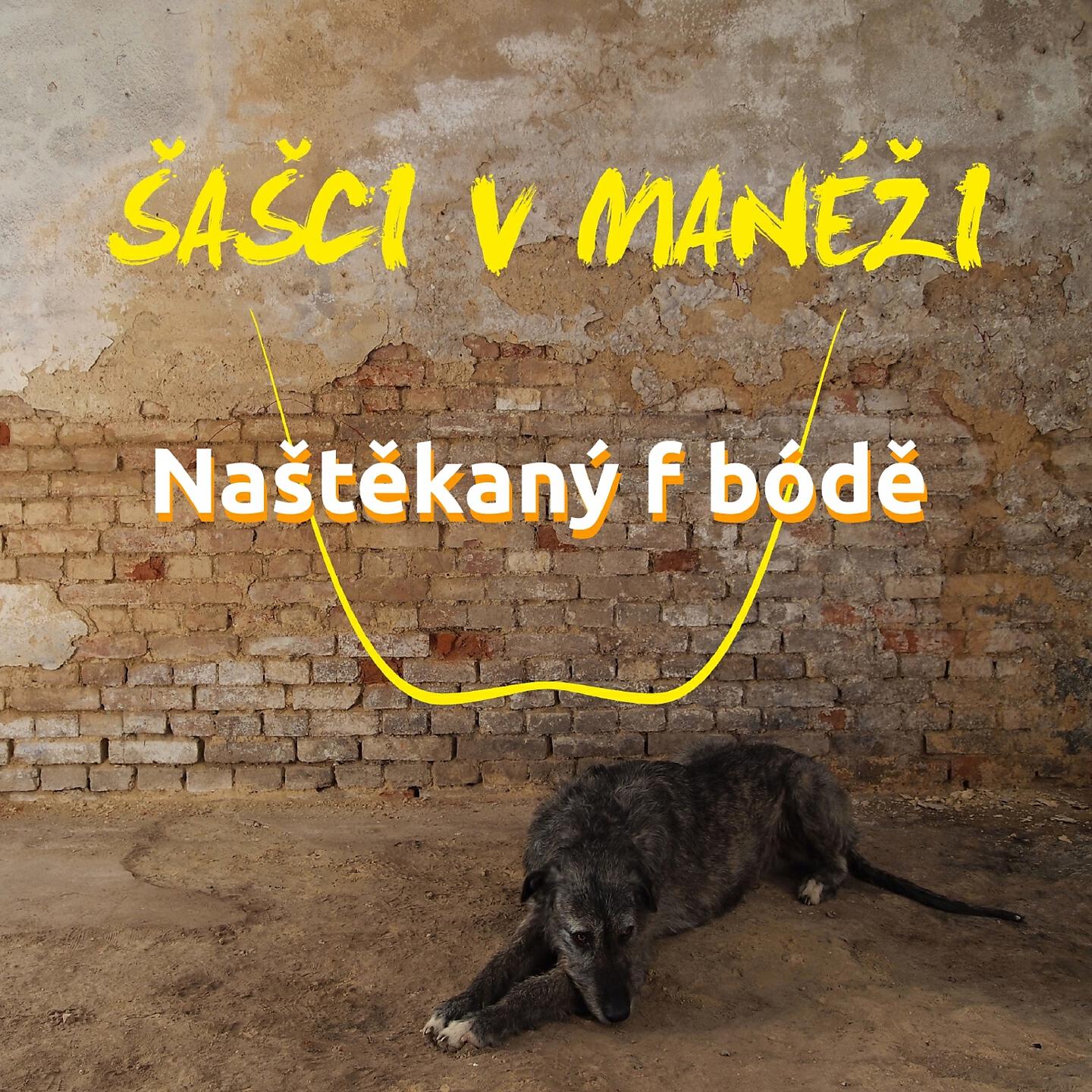 Šašci v manéži - Mr. Jan