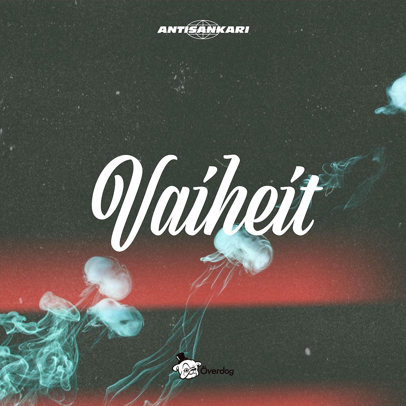 Постер альбома Vaiheit