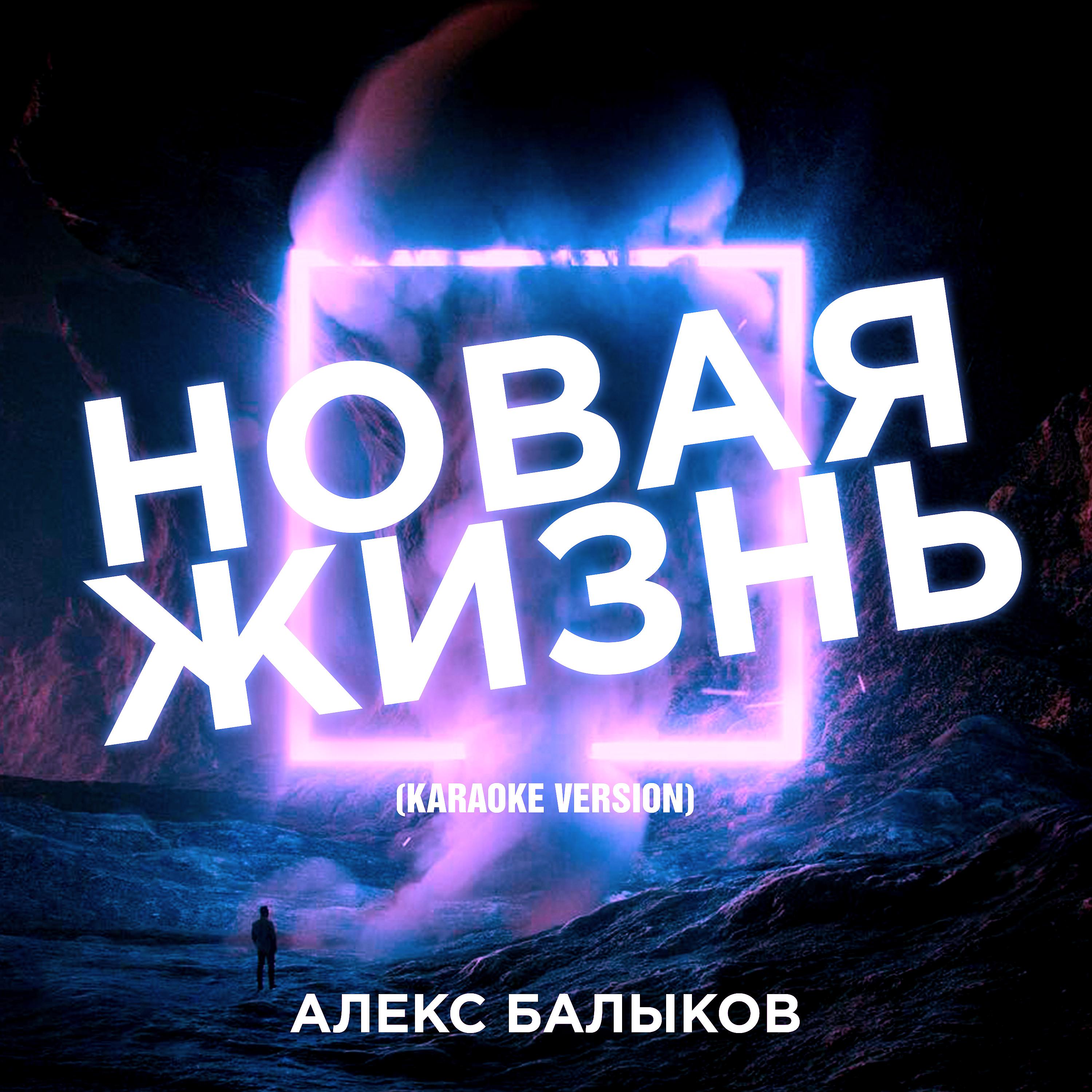 Постер альбома Новая жизнь (Karaoke Version)