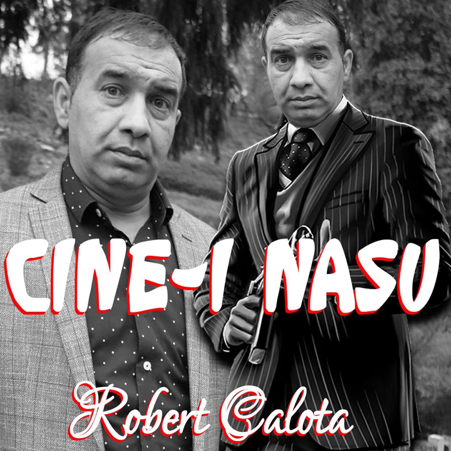 Robert Calota - Sunt Plecat Si Inca O Data