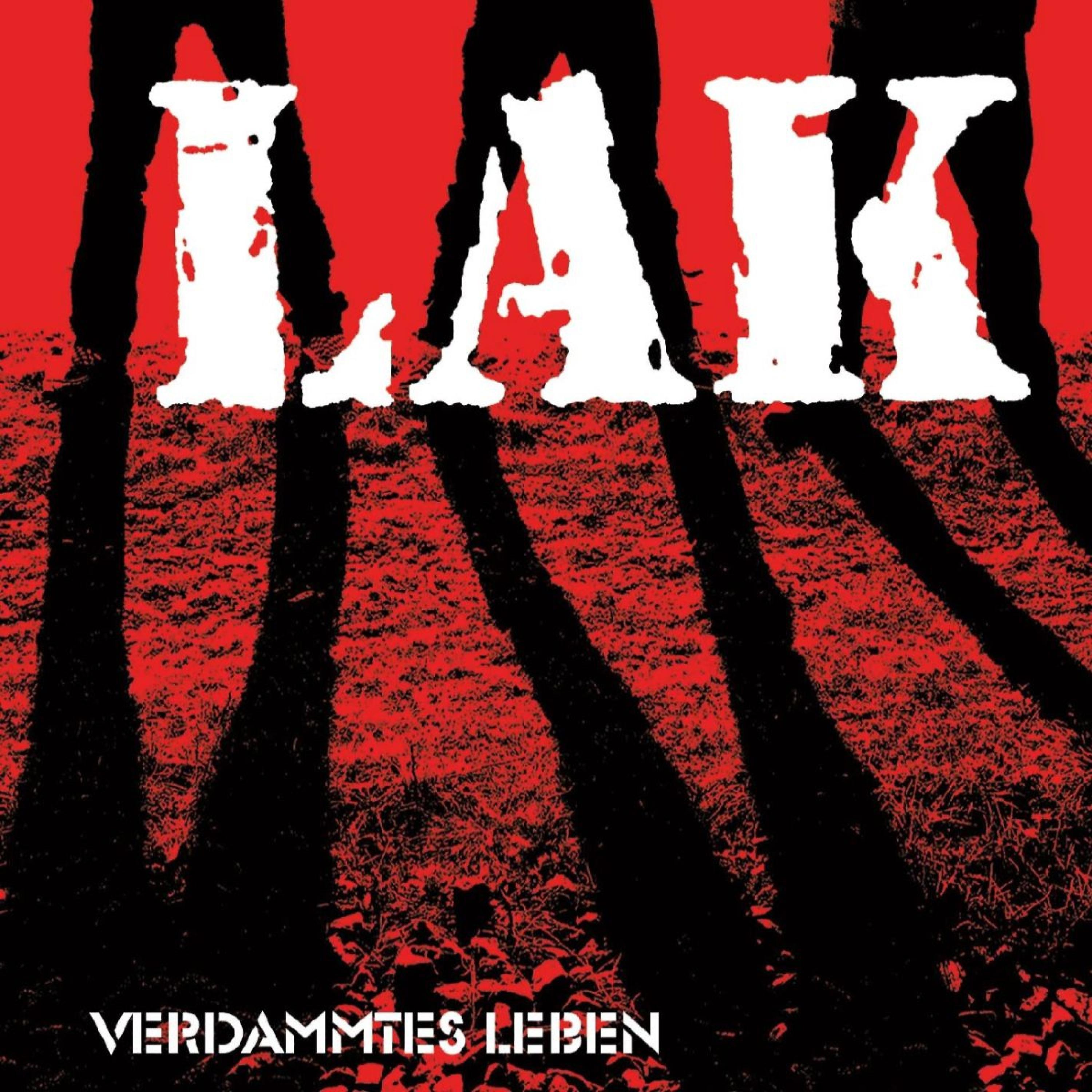 Постер альбома Verdammtes Leben
