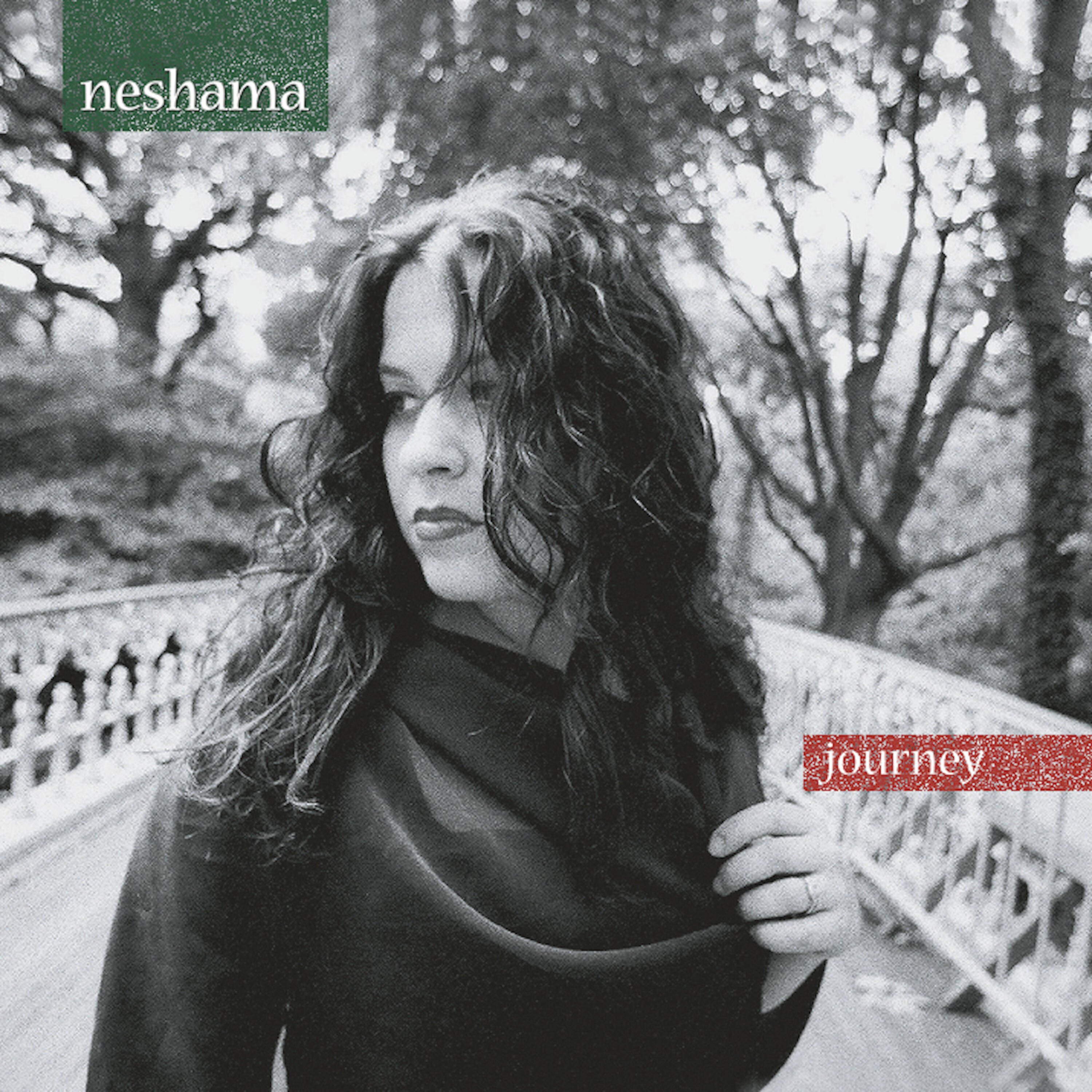 Neshama Carlebach - Shomer Yisrael