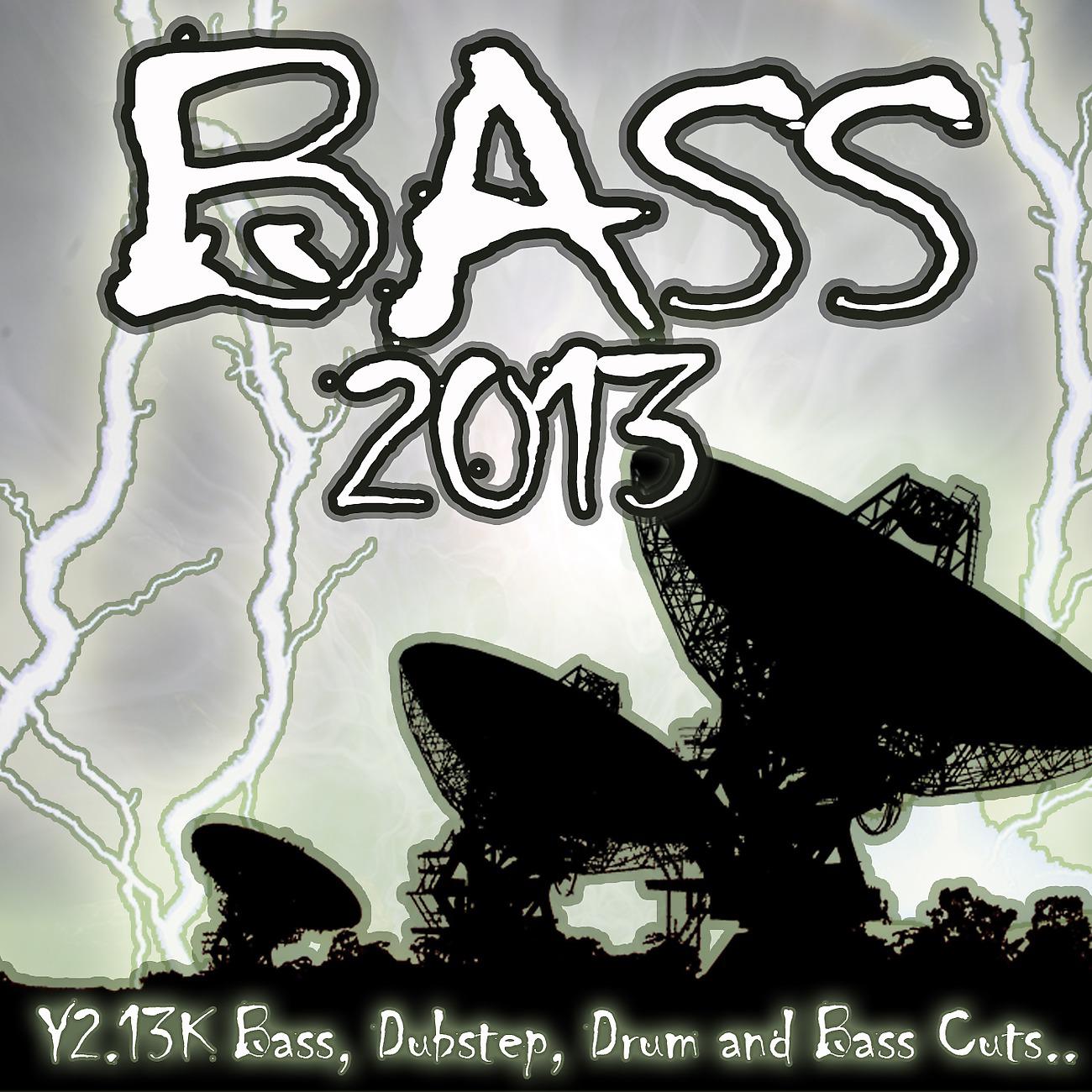 Постер альбома Bass 2013 - Stadium Dupstep to Arena Drum and Bass the Ultimate Bassline Club Sessions