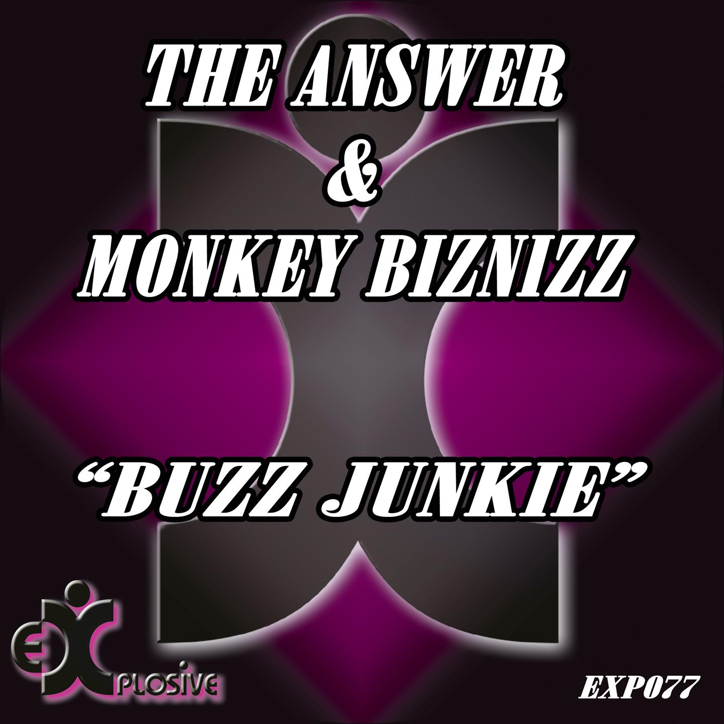 Постер альбома Buzz Junkie