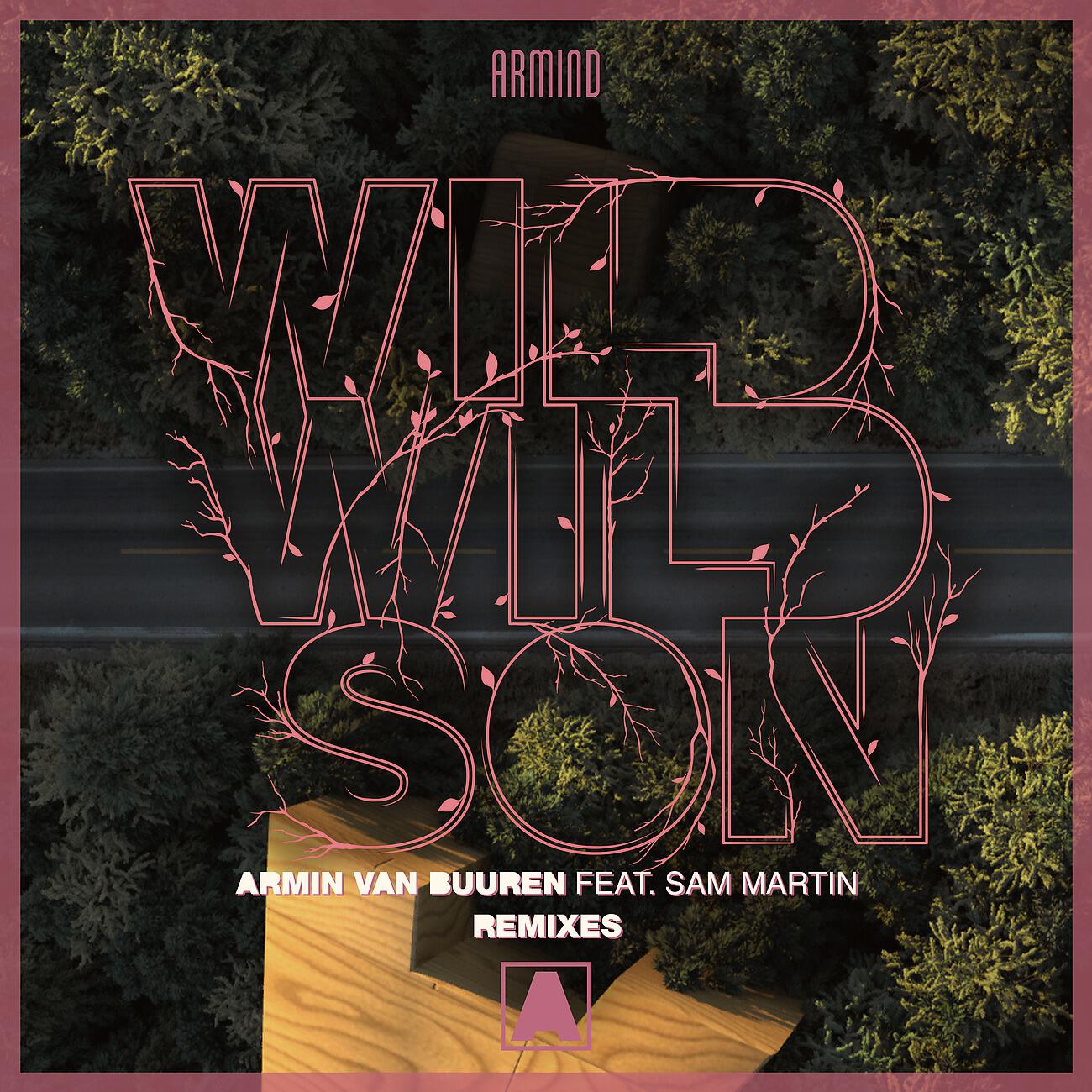 Armin Van Buuren - Wild Wild Son (Richard Durand Extended Remix)