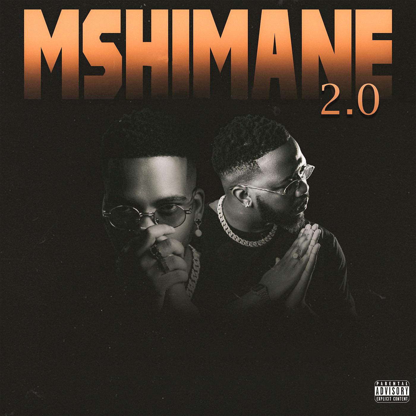 Постер альбома Mshimane 2.0