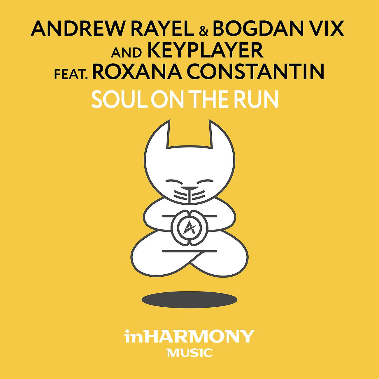 Andrew Rayel - Soul On The Run (Progressive Mix)