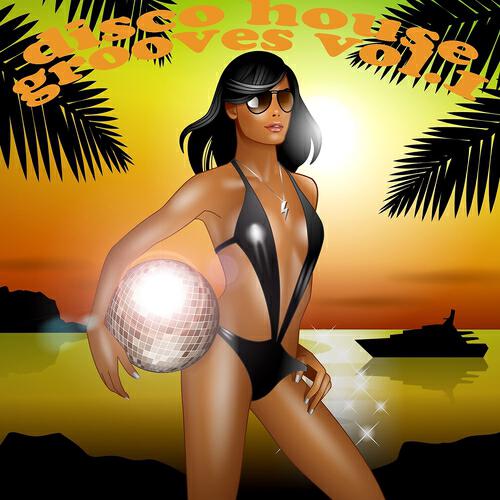 Marc Fisher - Flamingo Disco (Mike 303 Superfunk Remix)