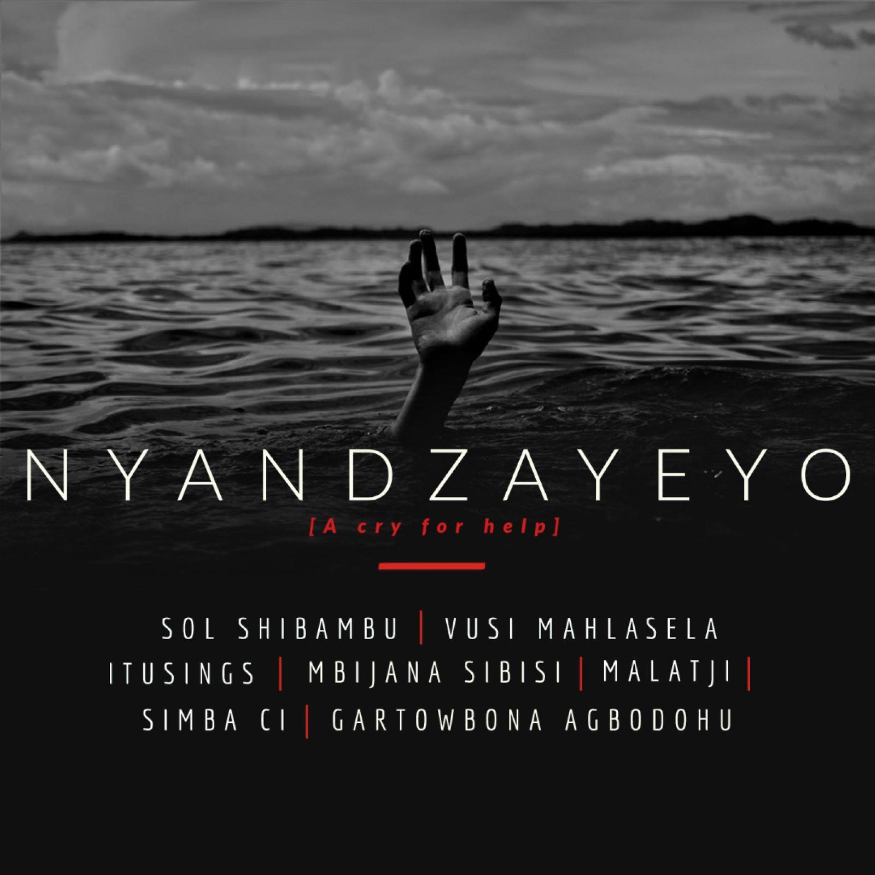 Постер альбома Nyandzayeyo (Remake)