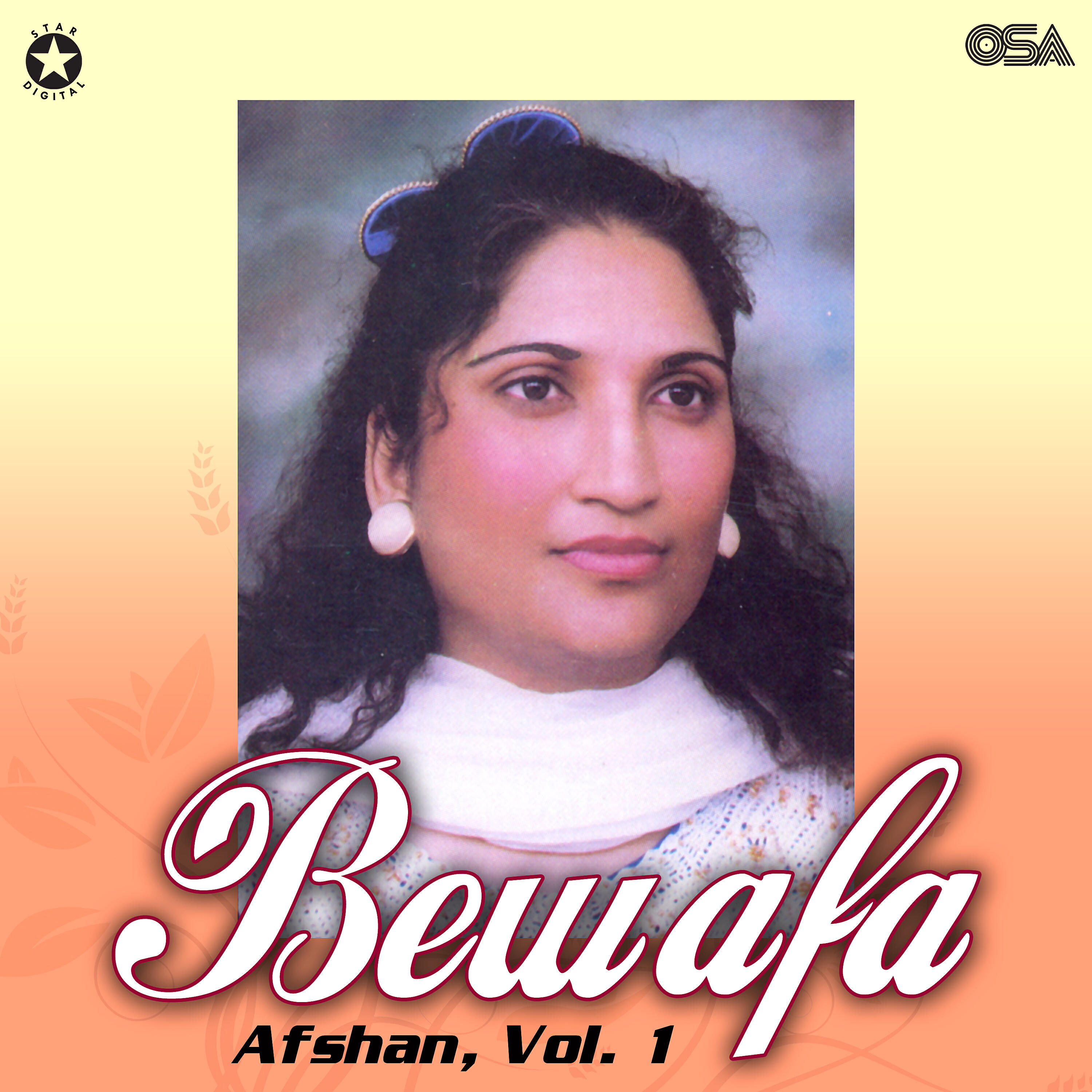 Afshan - Bewafa Too Ne Mohabbat Ka