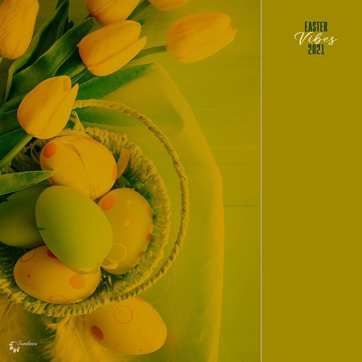 Chiffre 100 - Bee's Knees