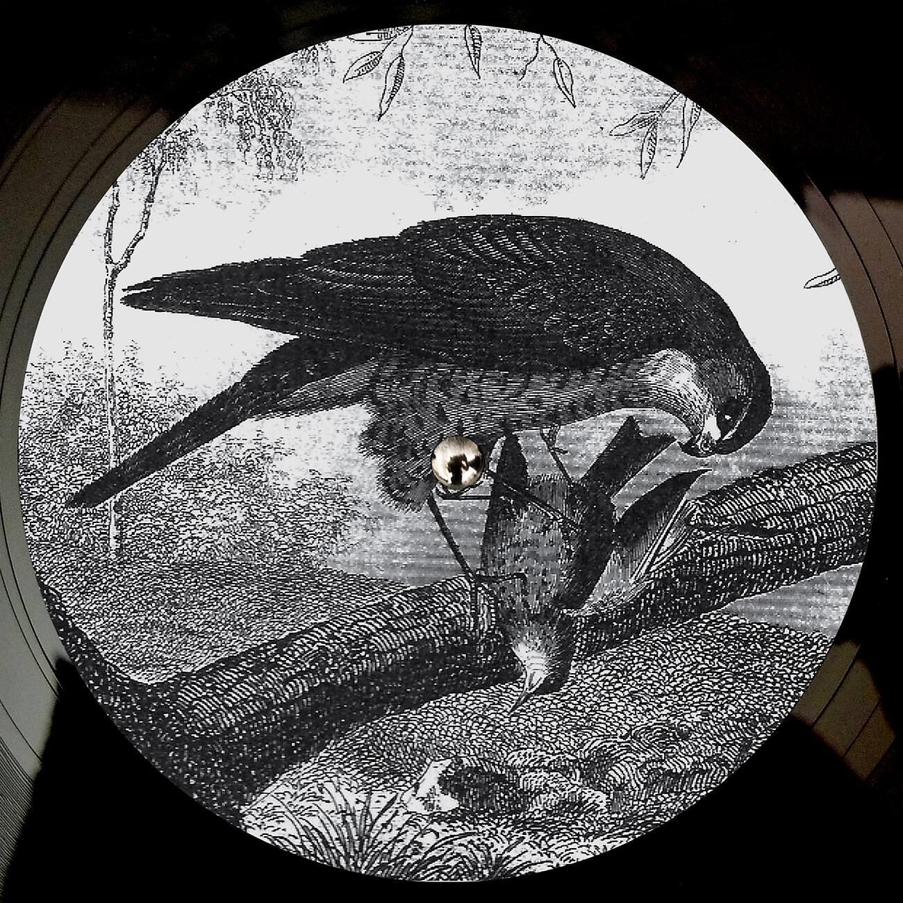 Karma Kid - Bird Of Prey
