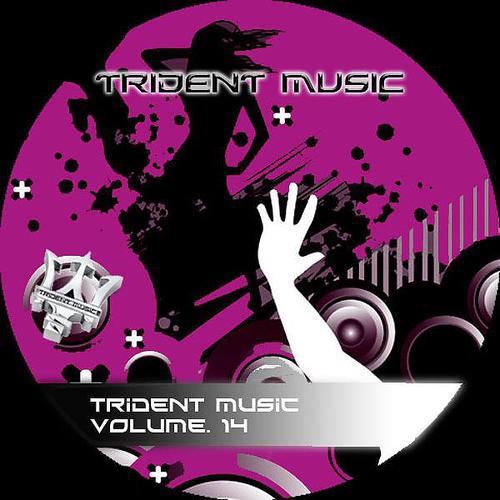 Постер альбома Trident Music Volume 14