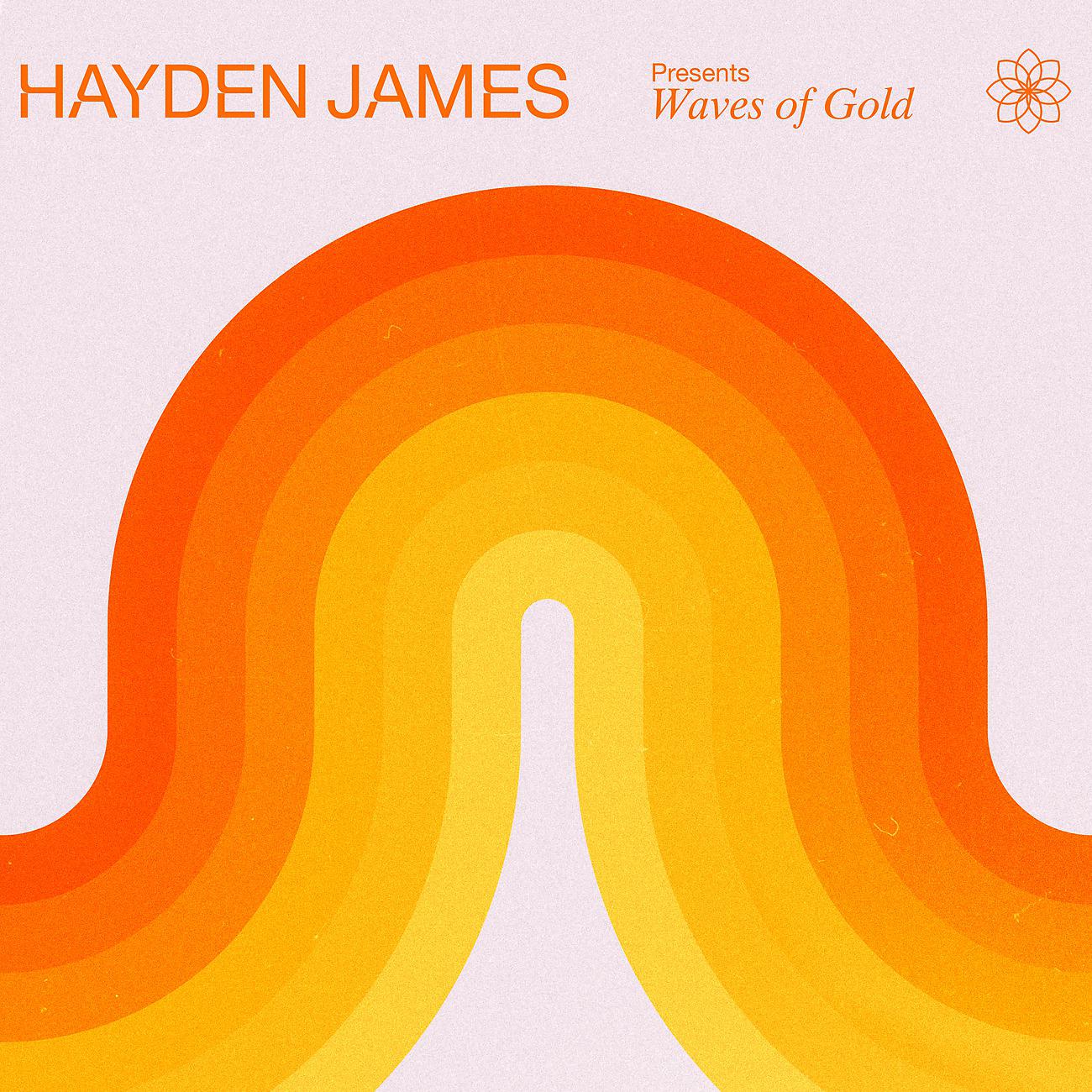 Постер альбома Hayden James Presents Waves of Gold