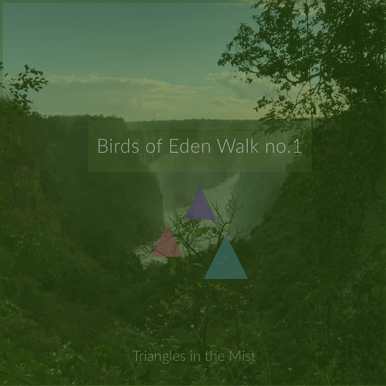 Постер альбома Birds of Eden - Walk No.1