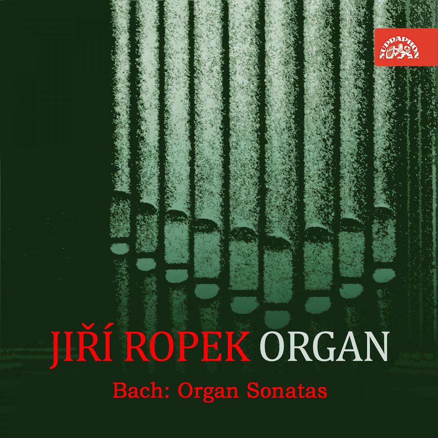 Постер альбома Bach: Organ Sonatas