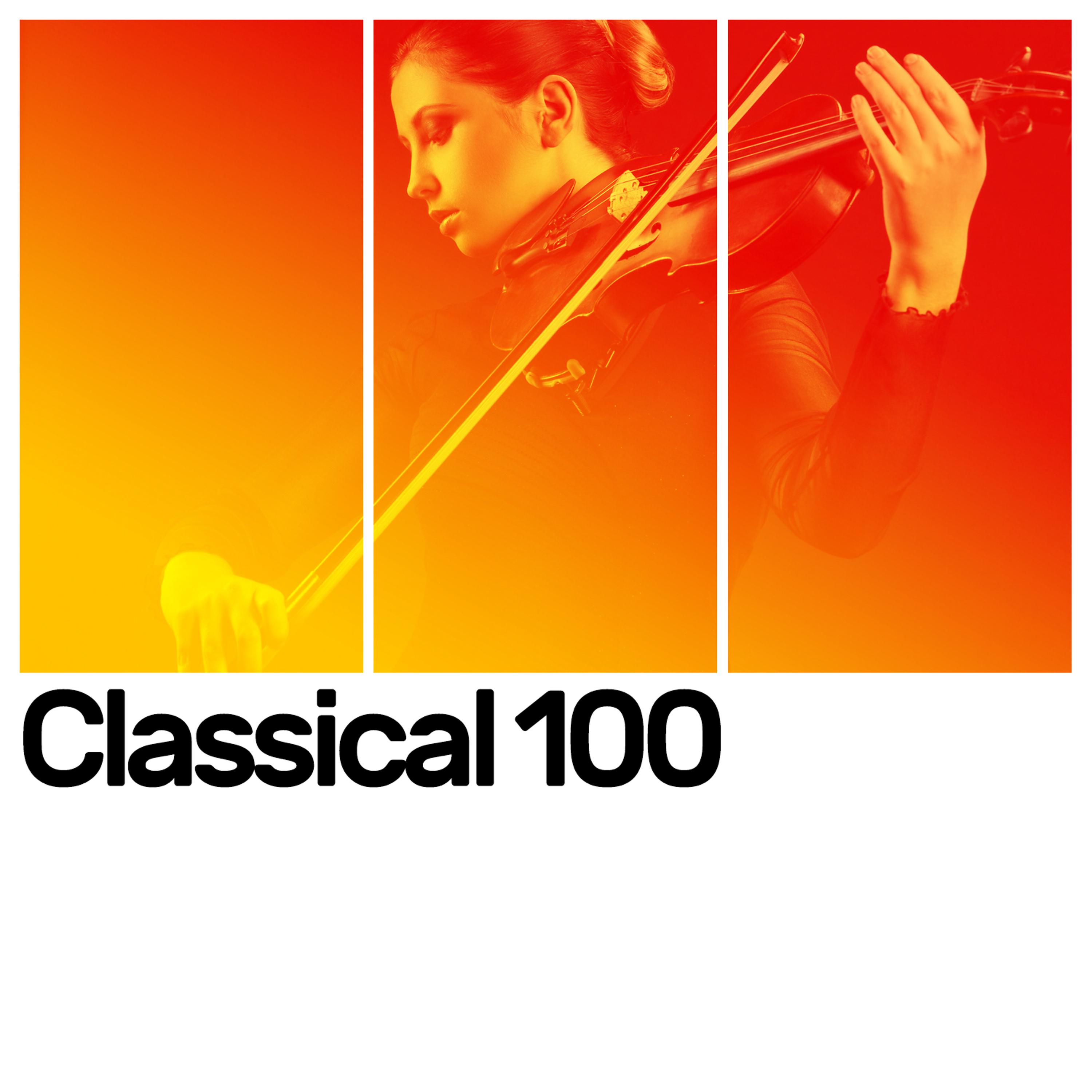 Постер альбома Classical 101