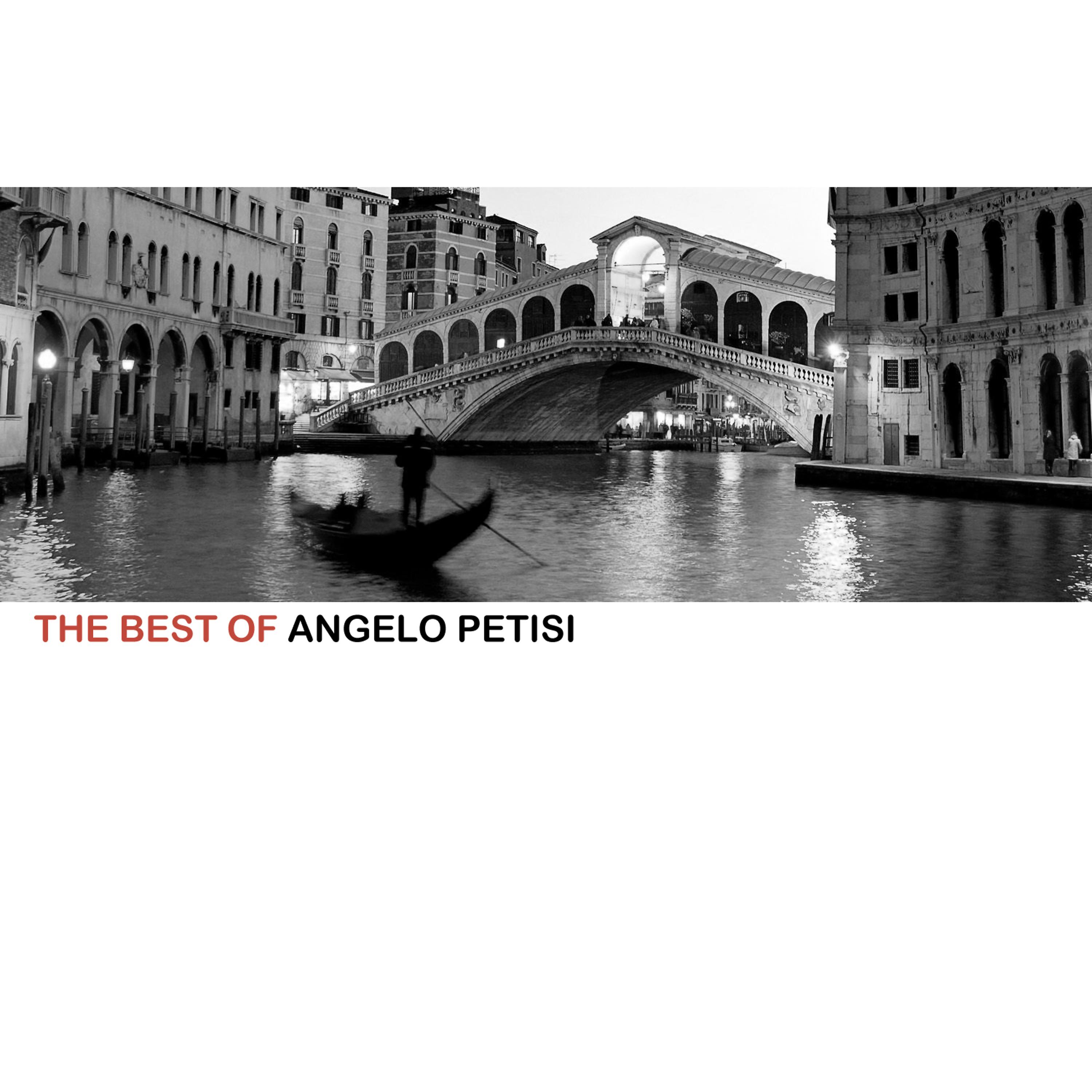 Постер альбома The Best Of Angelo Petisi