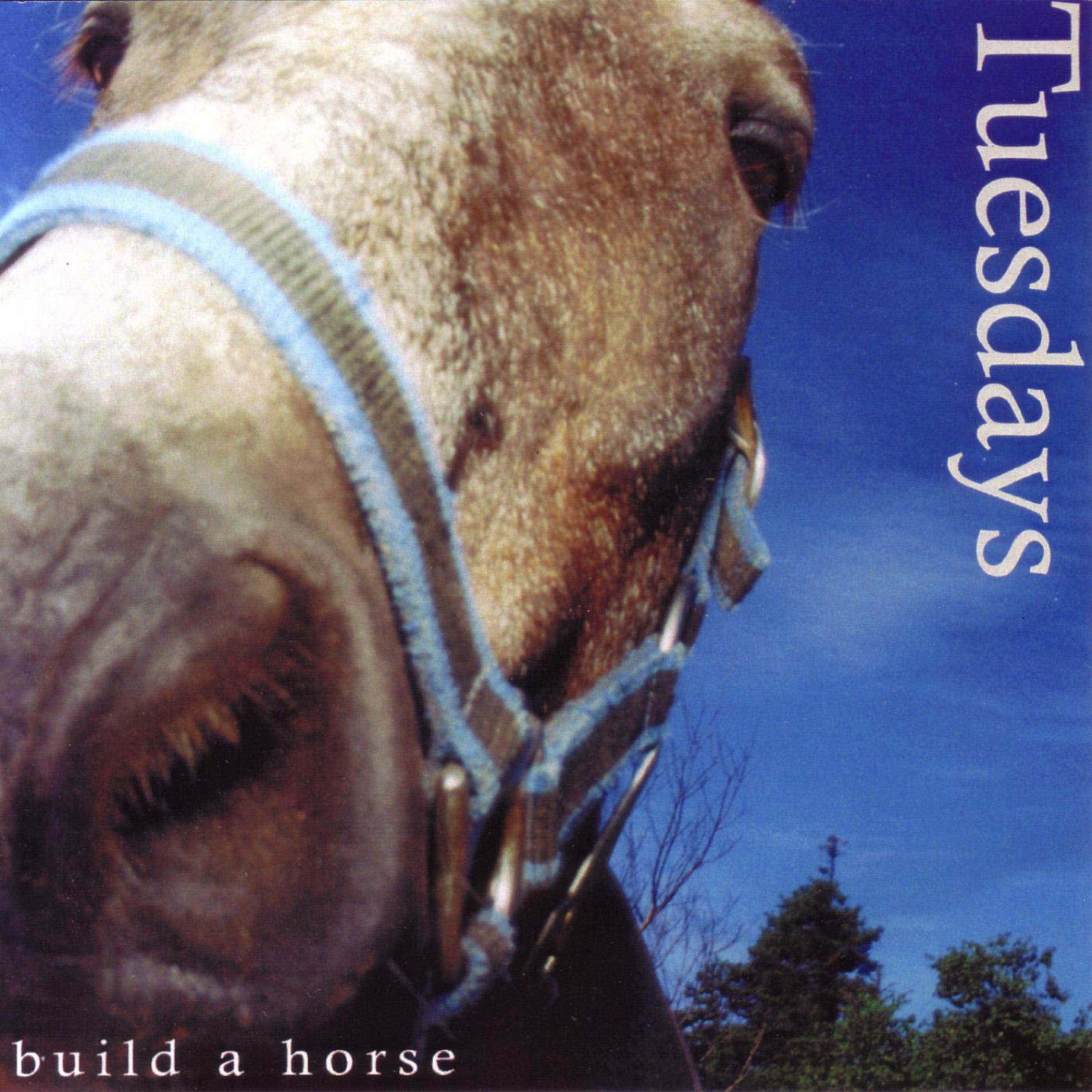Постер альбома Build A Horse