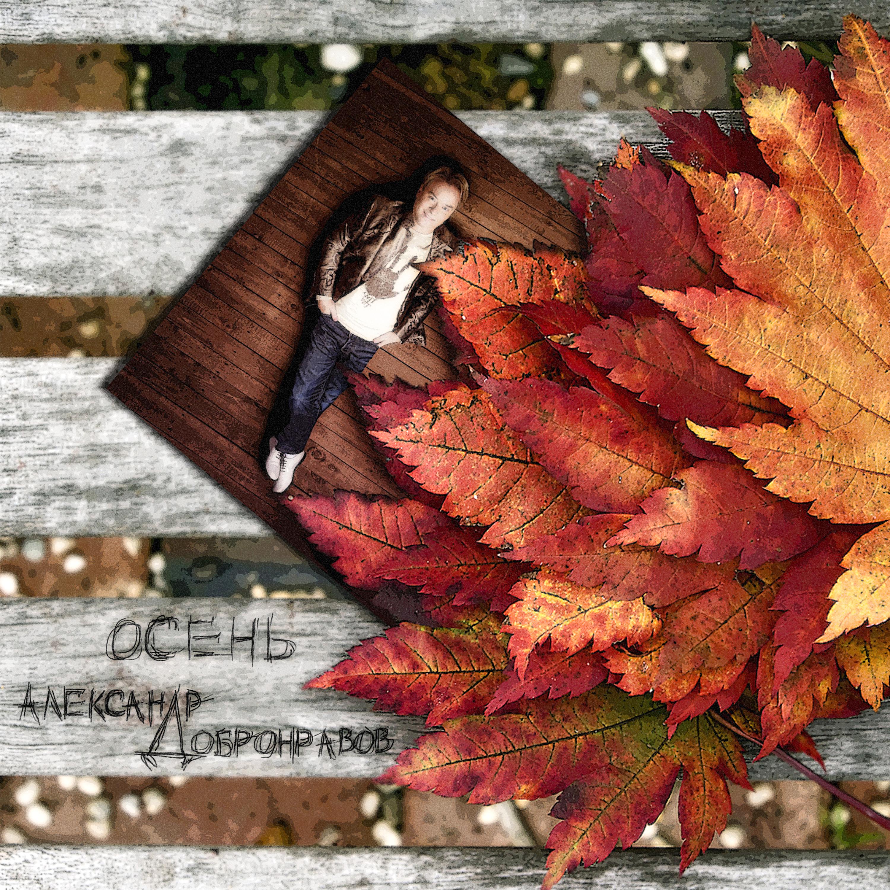 Постер альбома Осень - золотые листопады