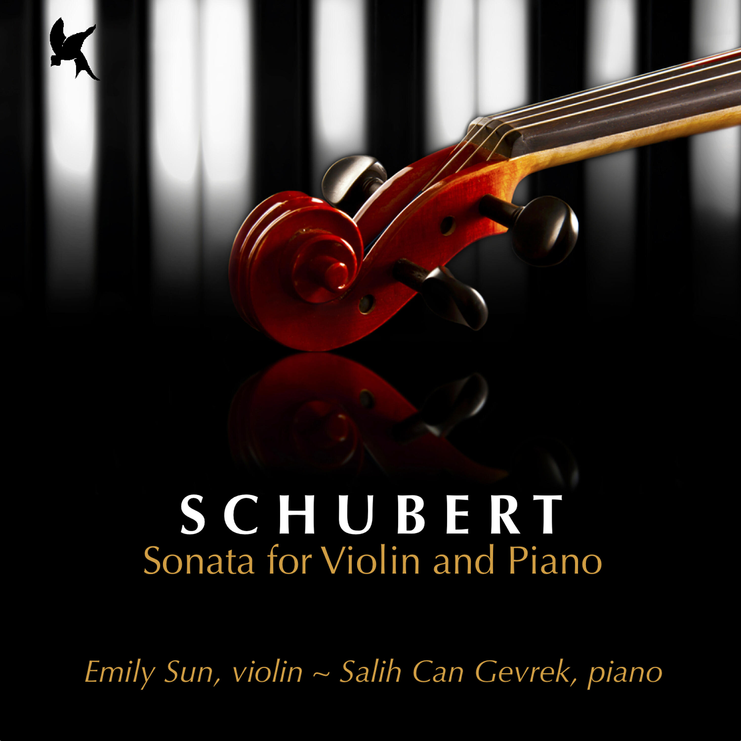 Emily Sun - Sonata for Violin and Piano in G Minor, D. 408: IV. Allegro moderato